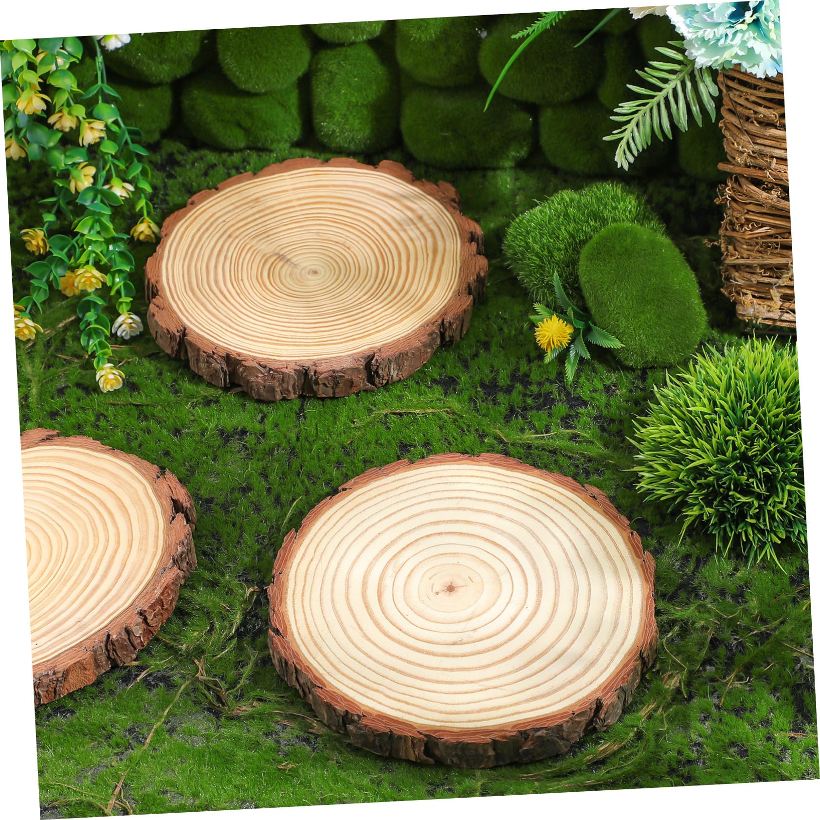 Pierres de Gué de Jardin en Bois, Lot de 3, Style Délicat