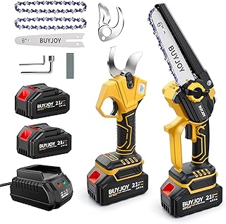 BUYJOY 2-in-1 Mini Chainsaw & Electric Pruning Shears, 1.8" Cutting Capacity, 6 Inch Cordless Chainsaw with 2 x 4.0Ah Batteries, Battery Powered Branch Cutter for Tree Trimming and Garden Pruning