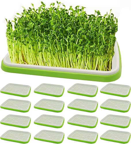 kathson Bandeja de germinación de semillas de 16 piezas con agujeros de drenaje, bandejas de cultivo de microverdes sin tierra, kit de cultivo de