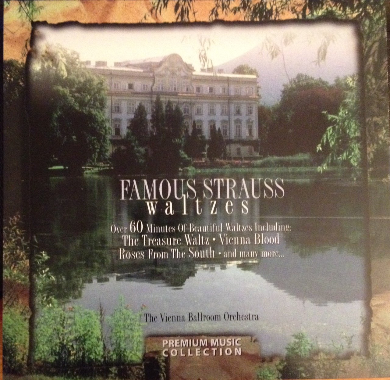 Famous Strauss Waltzes [Audio CD] Vienna Ballroom Orchestra