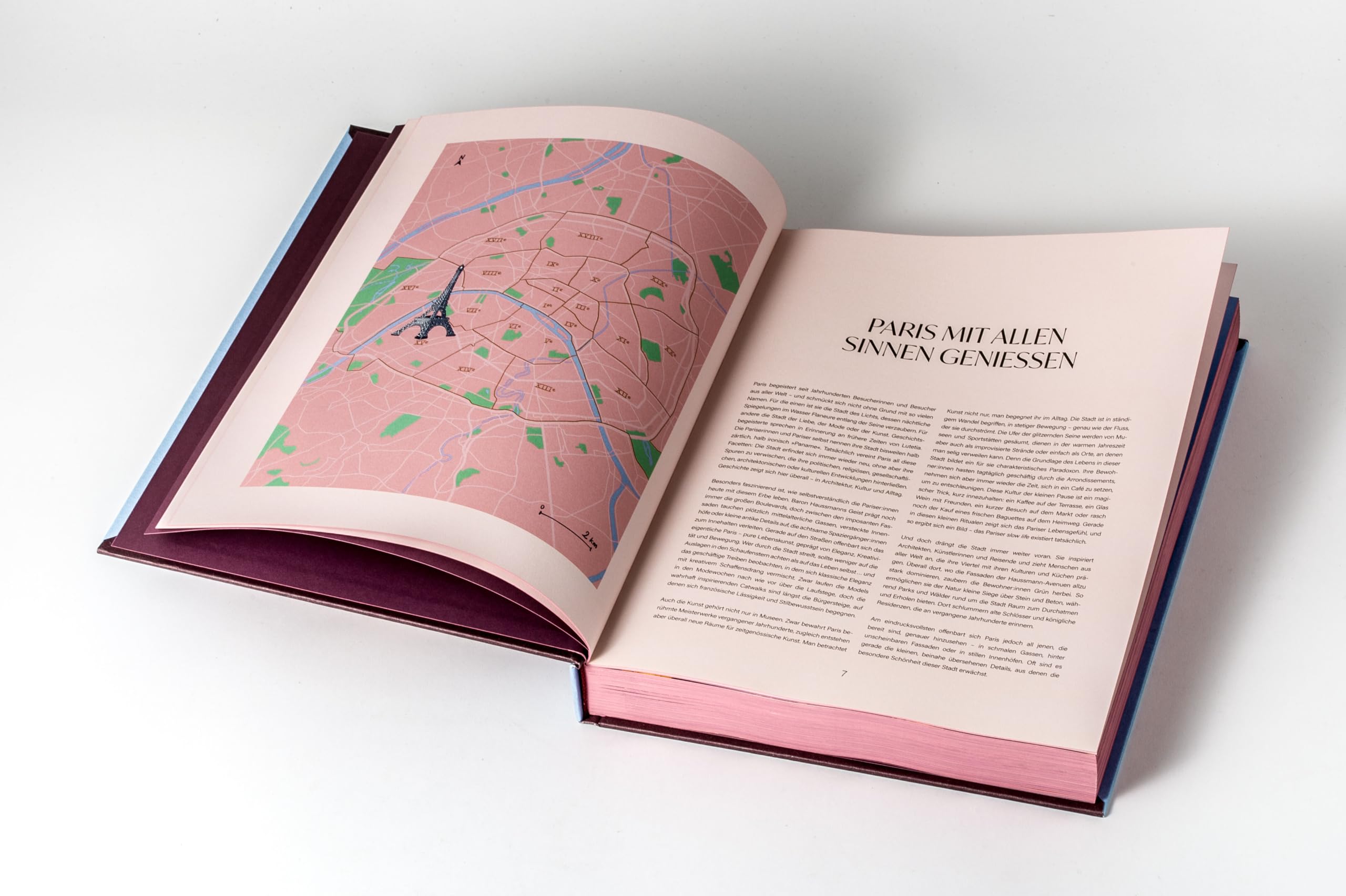Paris. Stadt des Lichts: Ästhethisch gestalteter Städteguide mit Insider-Tipps zu urbaner Kultur, Architektur, Nachtleben, Food, Aktiviäten und den schönsten Ecken in Paris (Iconic Cities, Band 1)