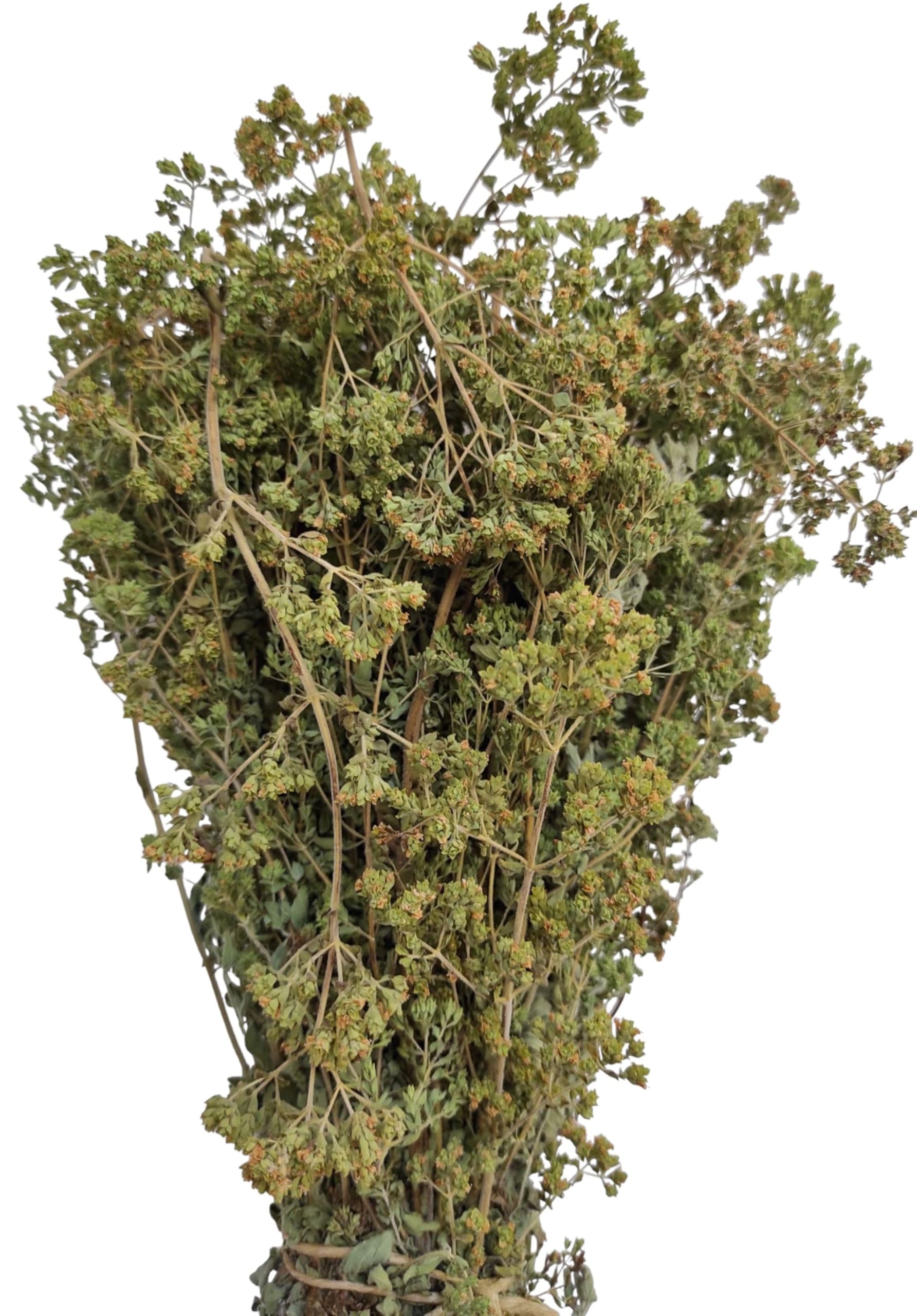Zertifiziertes Bio Griechisches Getrocknetes Berg Oregano Bündel 85g - 1,95kg Ernte Origanum Vulgare (1950 gramm)