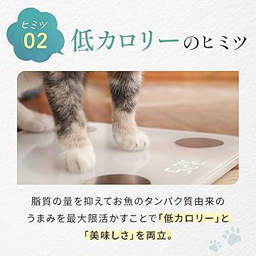 モグニャン　2袋 楽天市場】モグニャンの通販