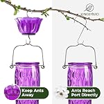 Kingsyard Hummingbird Feeders pour les extérieurs suspendus, 24 Ounce, Feeder de colibris en verre avec du Moat de fourmis & 6 Ports d'alimentation, fuite-proof, violet