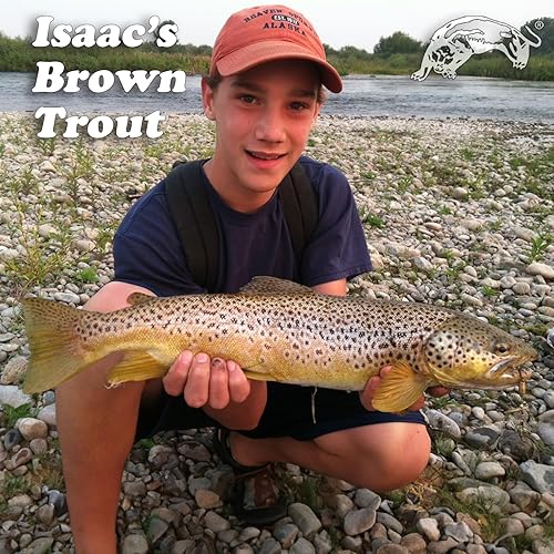 Miniatura 3 de Panther Martin Patrones clásicos de lágrima Spinners señuelo de pesca atrapa trucha, lucioperca, almizclado, latón de boca grande, perca, salmón y