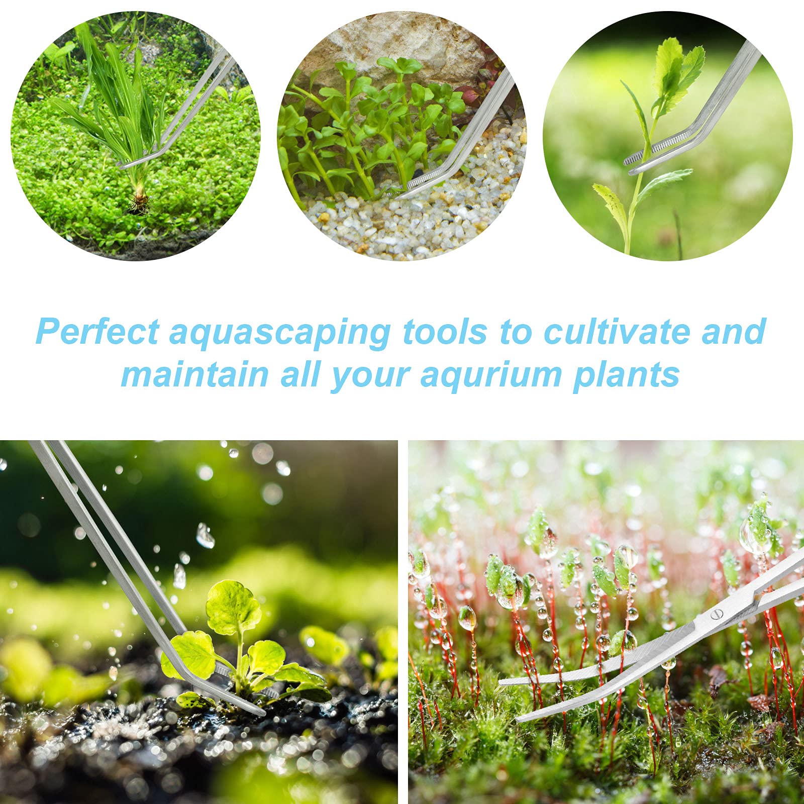 Czemo Serbatoio per Pesci d'acquario in Acciaio Inossidabile Acquario Forbici Pinze Spatola Aquascaping Insieme Di Attrezzi per Fish Tank Piante