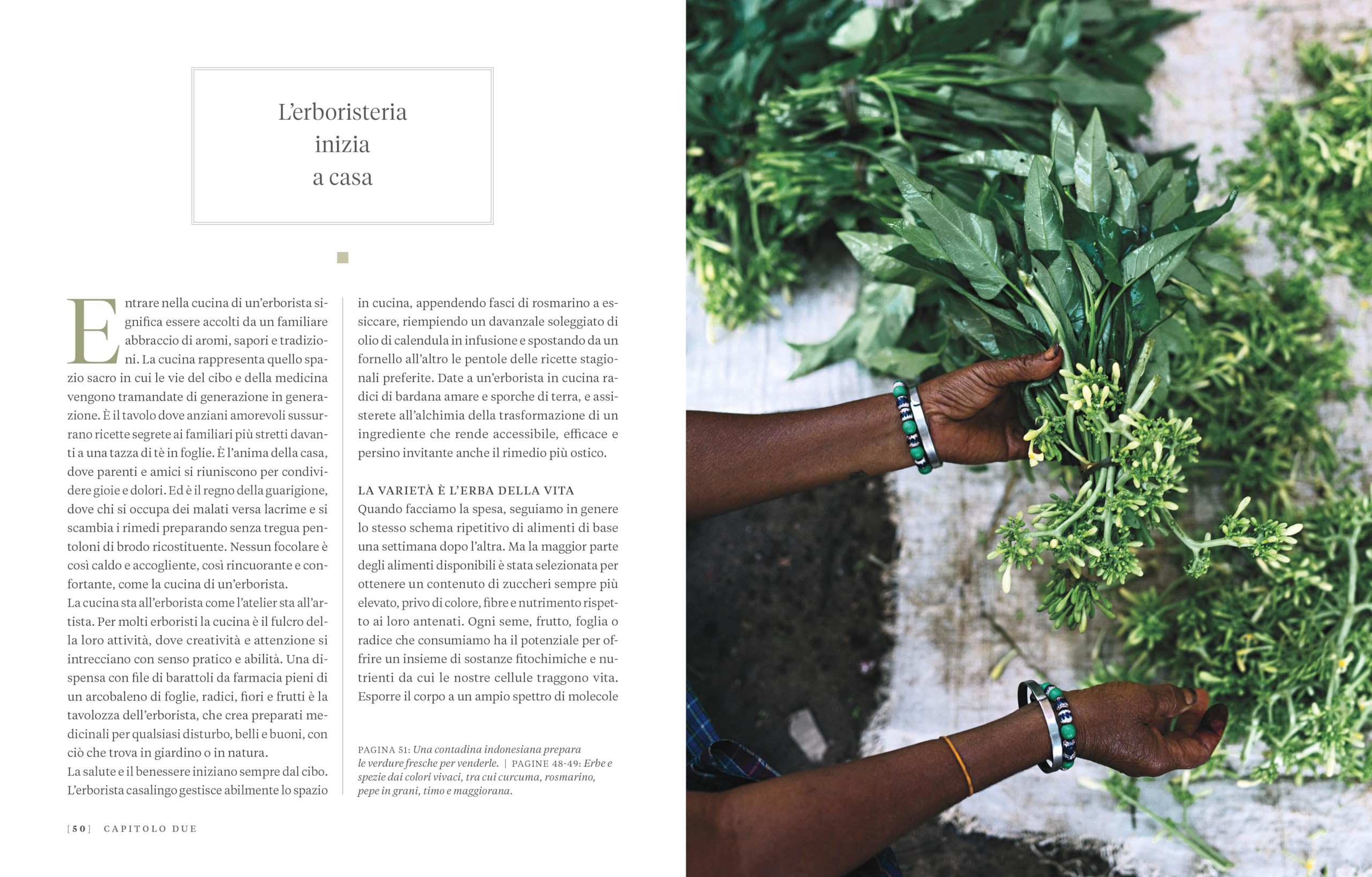 Erbario. Guida completa alle piante officinali e ai loro benefici