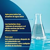 Ver la foto 5