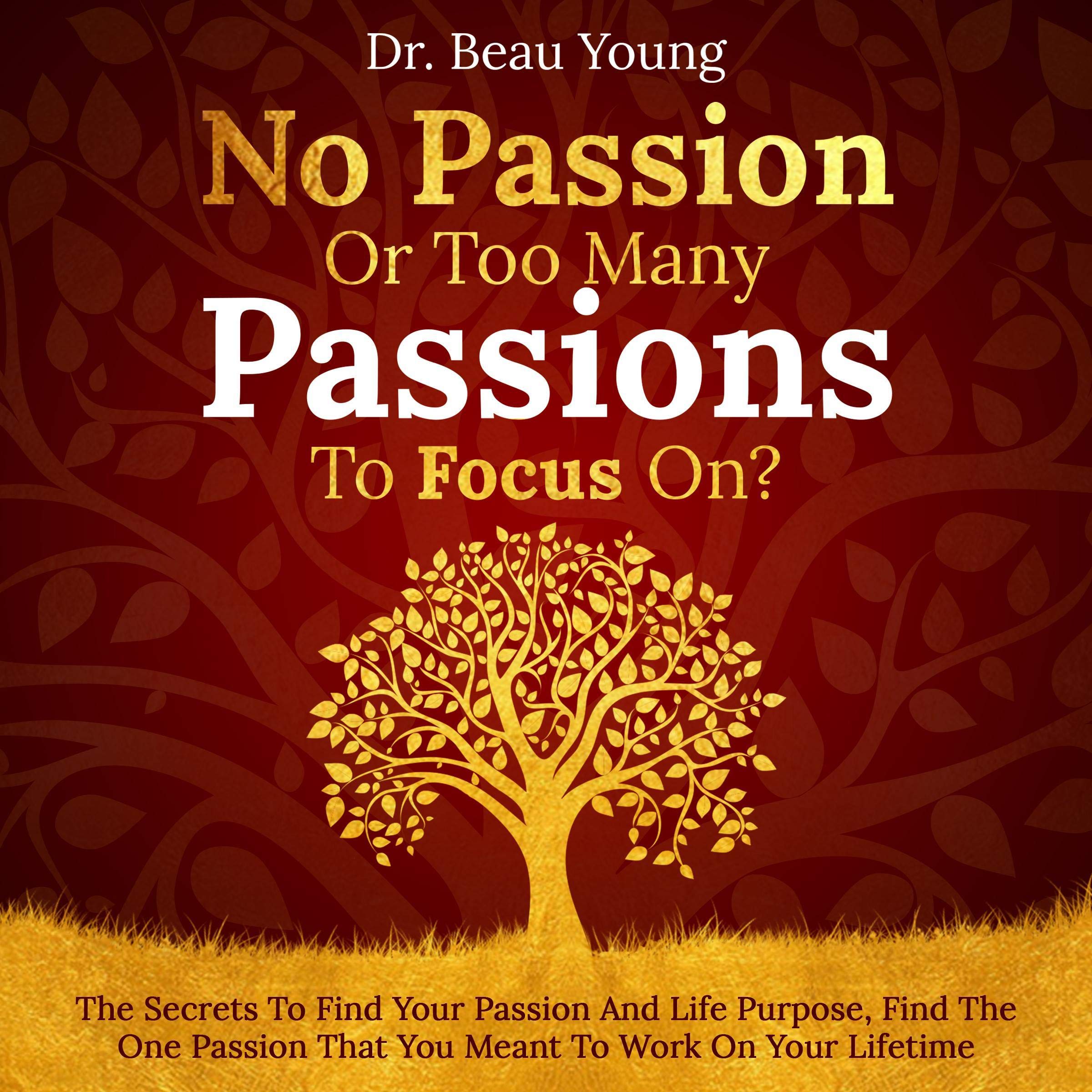 No Passion or Too Many Passions to Focus On?