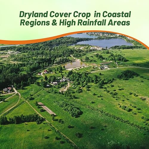 Miniatura 6 de Outsidepride Semillas de hierba de festuca roja rastrera  5 libras de temporada fresca, textura suave, auto-reparables semillas de hierba de festuca