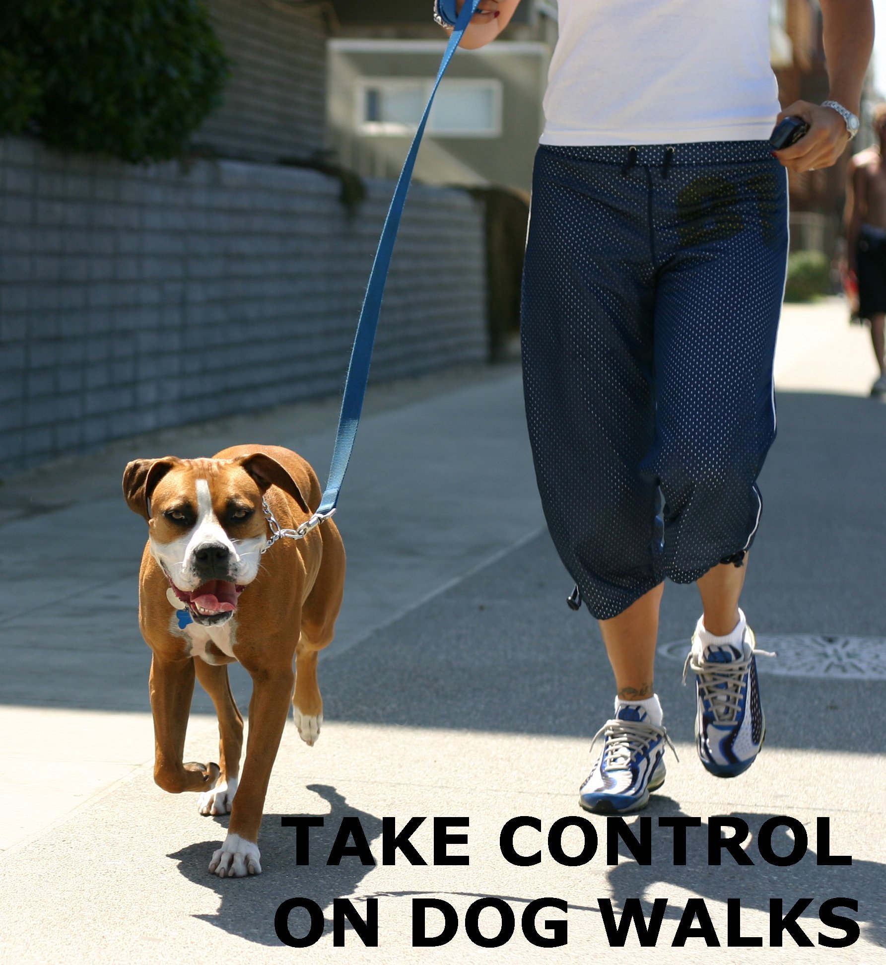 Are Air Horns Good To Defferant For Dogs