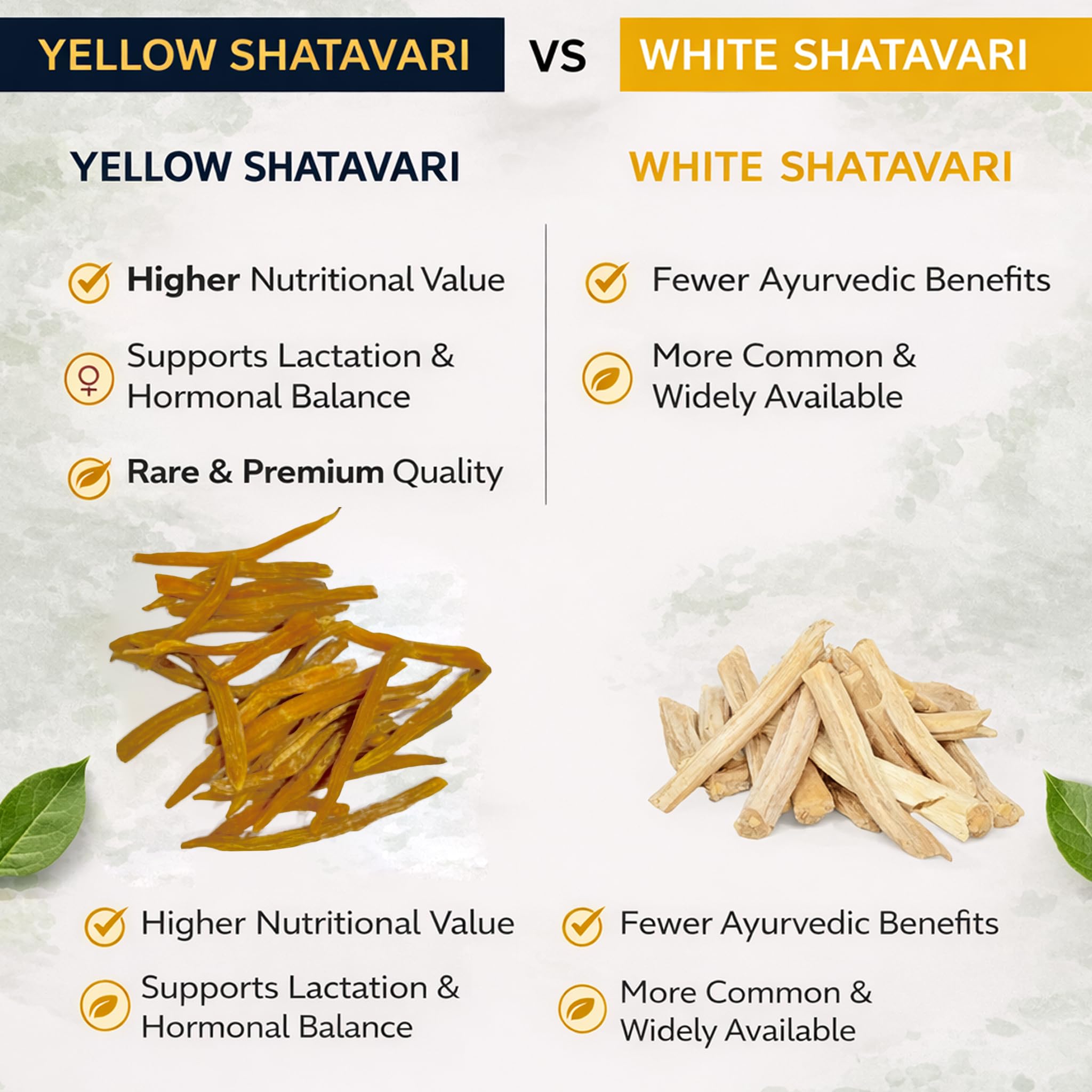 MedicoExperts Yellow Shatavari Powder Organic | Helps Balance Women's Hormones & Reproductive Health | Supports Energy & Vitality | No Preservatives - (100gm) 2