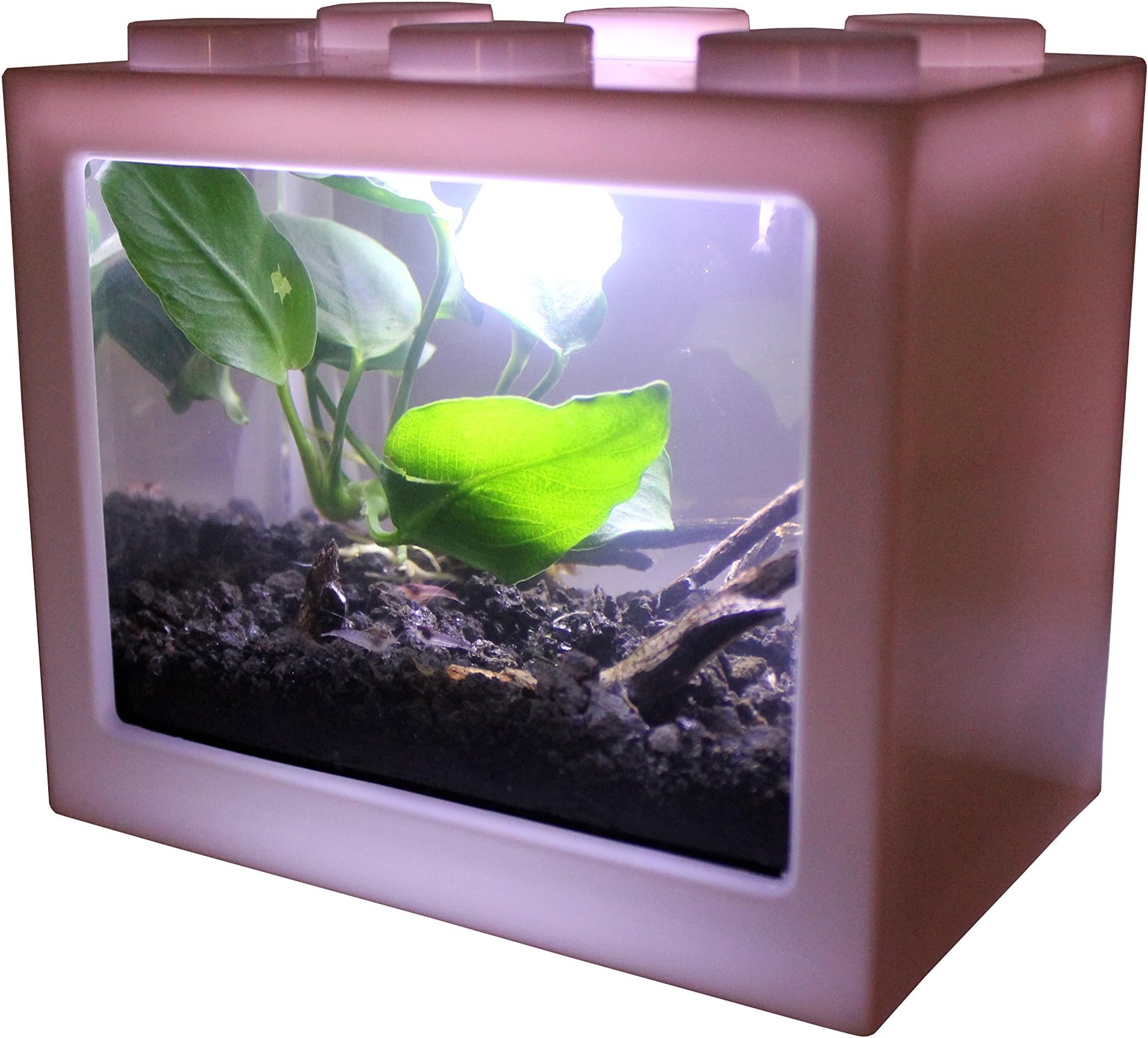 AquaticHI Nano Tank, Extra Small, Mini Desktop Aquarium/Planted Tank/Terrarium/Fish Tank, Perfect for The Kids, Office or Home for Small Betta Fish, Shrimp, Insects and Succulents (White)
