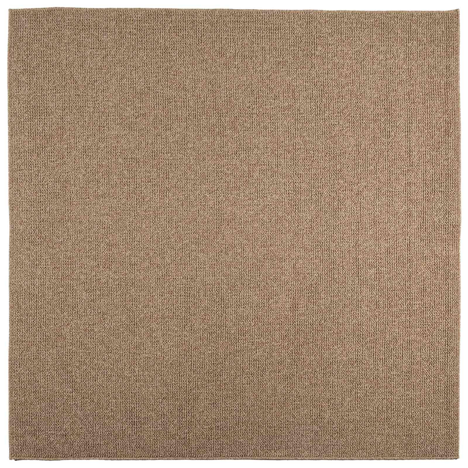 vidaXL Tapis d'intérieur et d'extérieur AGIRA Naturel 200 x 200 cm