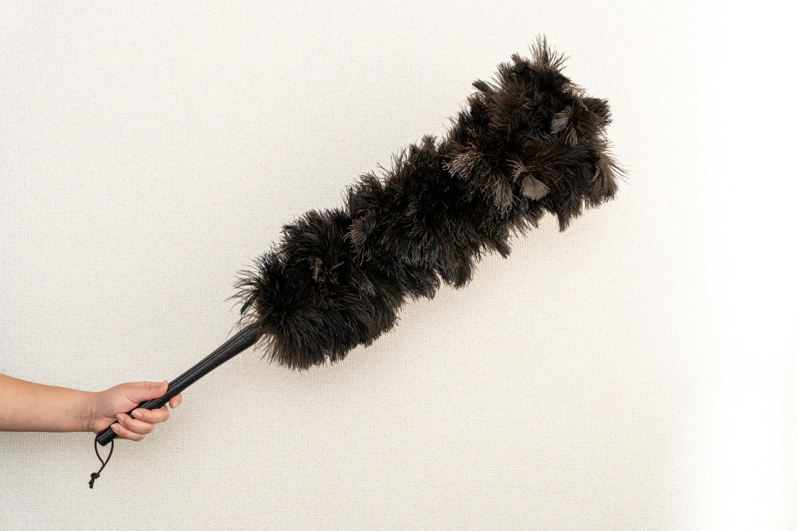 Amazon.co.jp: 向島自動車用品製作所 MYS PLUS PRO 毛ばたき