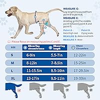 Vista 7 de Rodillera para perro para pierna trasera desgarrada, rodillera universal para perro para cuatro patas, alivia lesiones de ligamentos, soporte