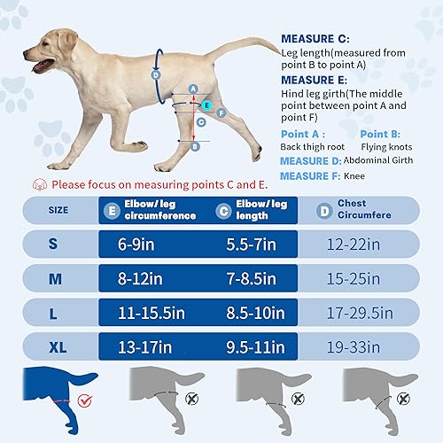 Miniatura 4 de Rodillera para perro para desgarro de pierna trasera, alivia lesiones de ligamentos y dolor en las articulaciones, soporte ajustable para piernas