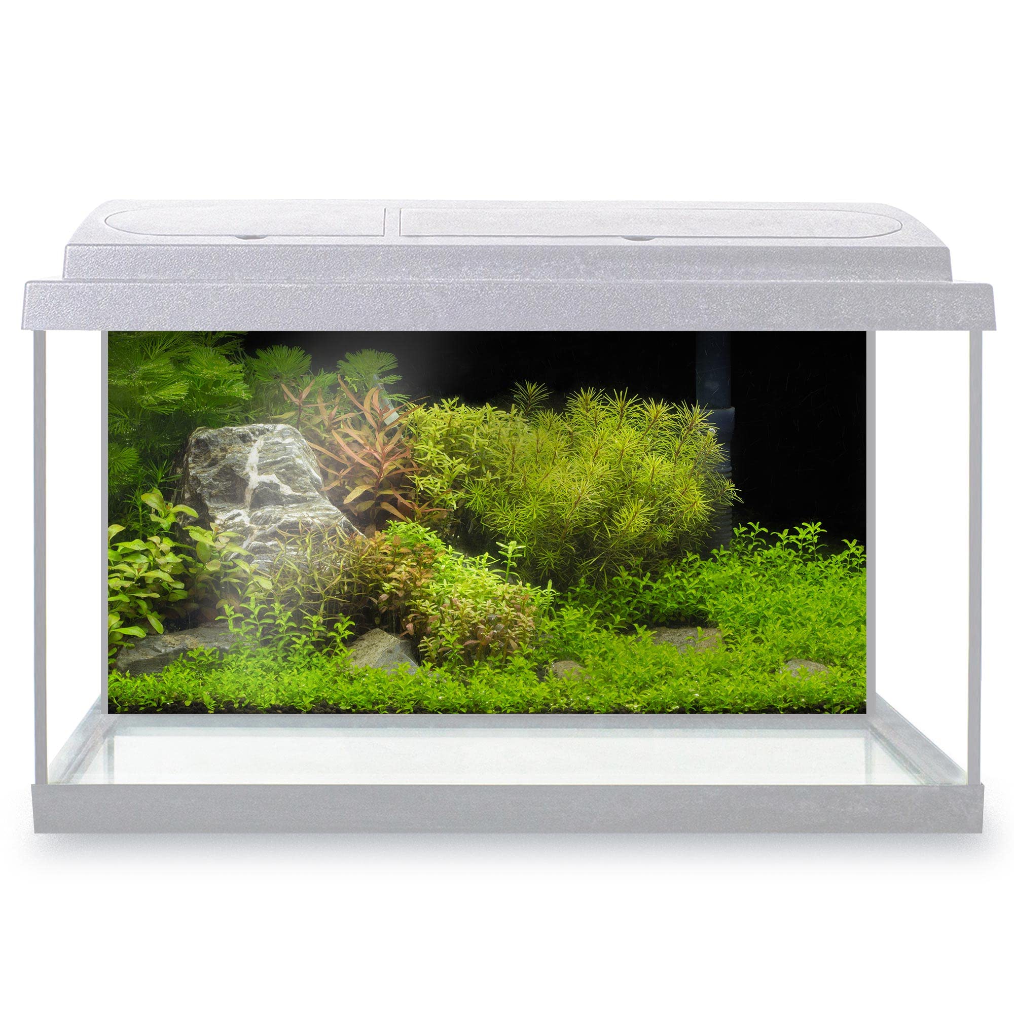 DV DESIGN Aquarium Fish Tank Background 80x40 cm - Green Beautiful Plants Tropical Freshwater Aqua Ocean Sea Aquatic Static Cling Vinyl Vivarium Terrarium External Application #500041