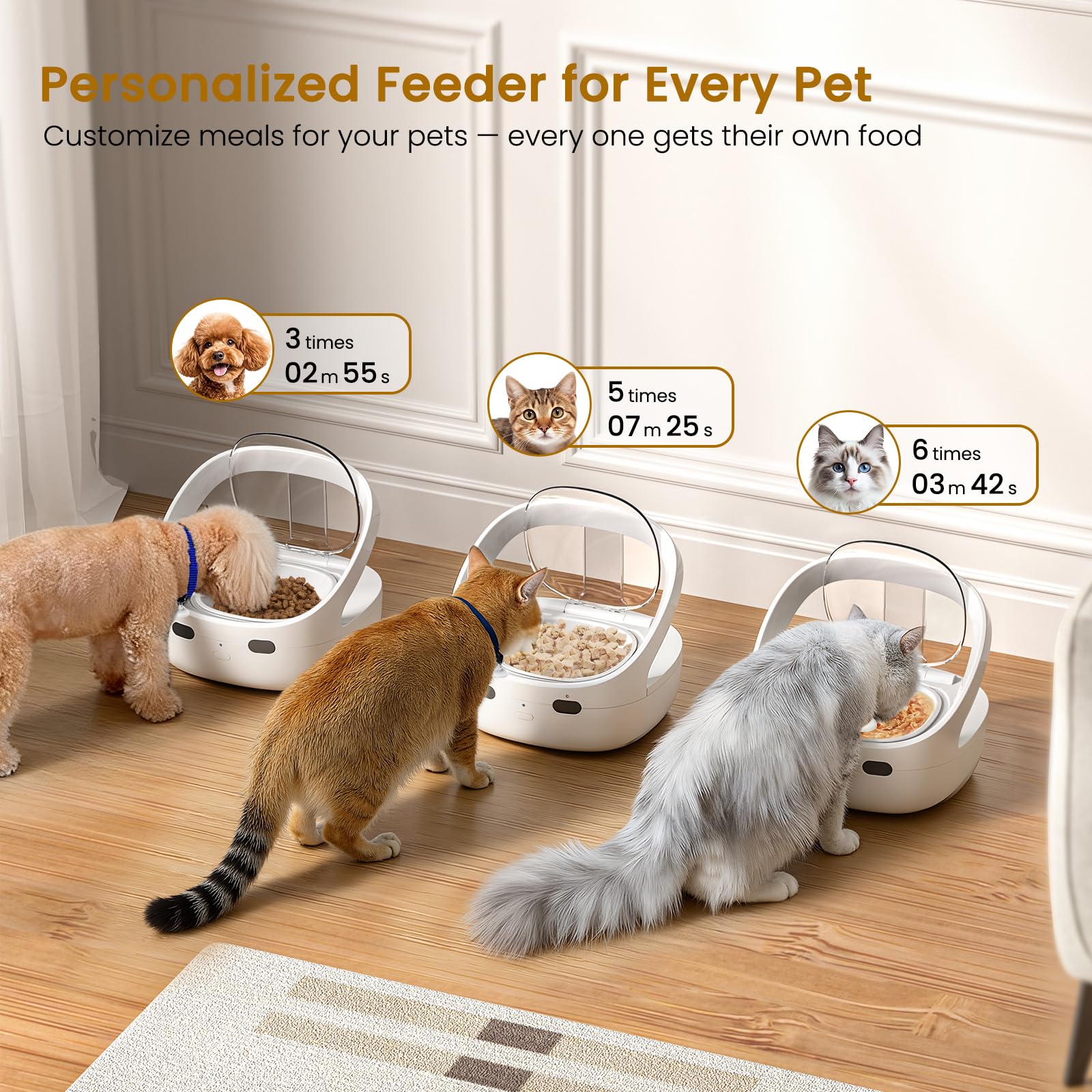 Collar-Activated Automatic Cat Feeder with Personalized Meal Access, Prevents Food Stealing, Portion Control Feeding System for Multi-Cat Homes — view 2