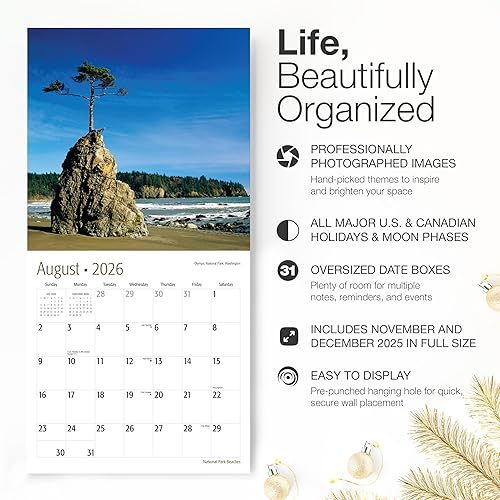 Miniatura 16 de RED EMBER Enchanted Places - Calendario de pared 2026 de 12 meses, 12 x 24 pulgadas, abierto, papel grueso y resistente, para regalo, calendario