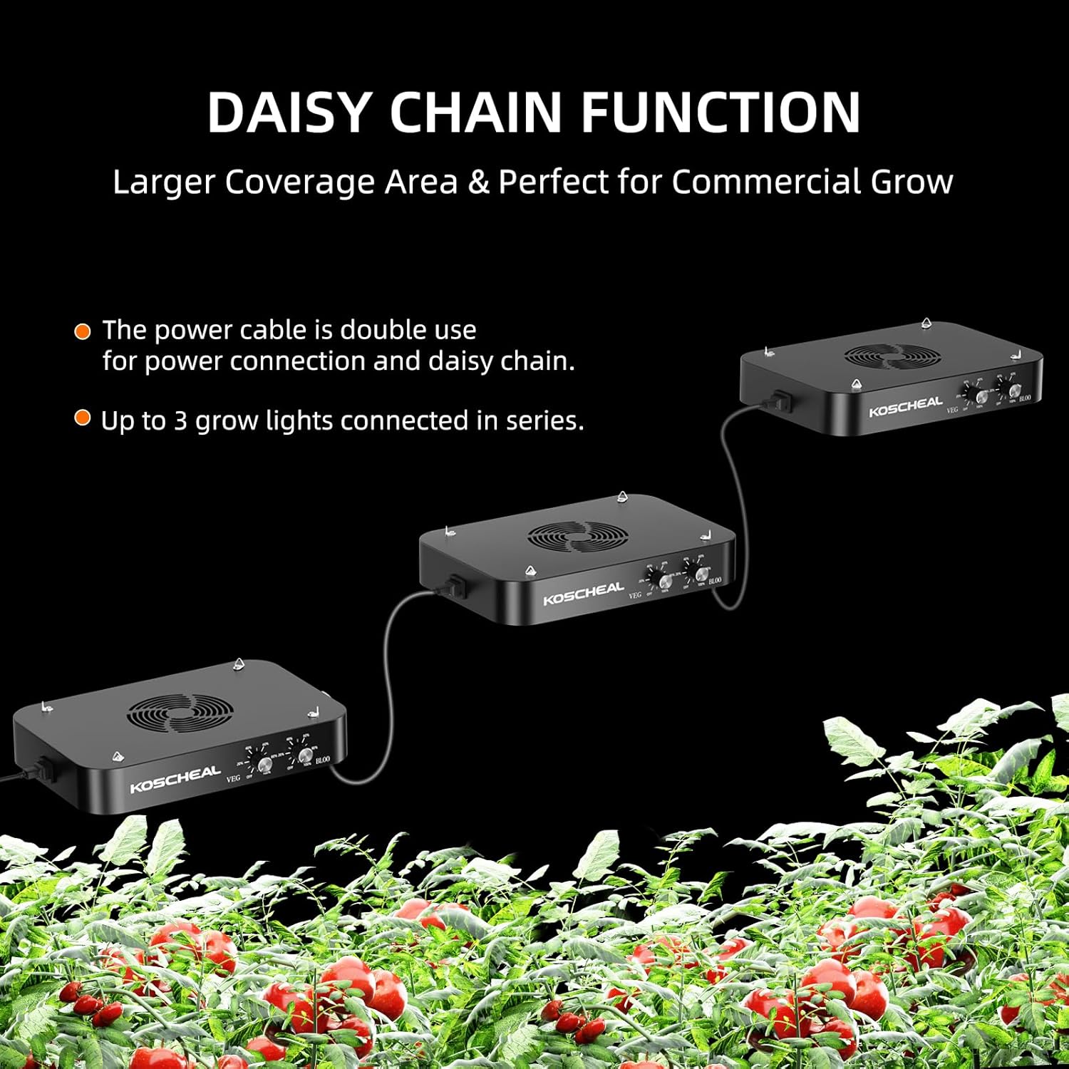 KOSCHEAL 2025 Upgrade KC1600 Dimmable Plant Grow Light with Yield LEDs,3 Modes Grow Lights (Veg, Bloom, Veg+Bloom), 0-100% Dual Knob Dimming, 2.9μmol/J PAR, Daisy Chain, Built-in Fan