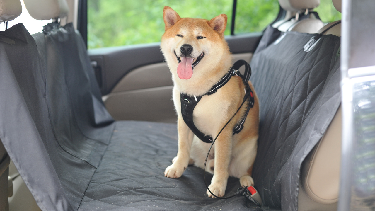 VIVAGLORY Dog Car Seat Covers, Hammock Seat Cover Mesh Visual Window with Extra Strap & Buckles, Waterproof & Nonslip Car Back Seat Cover Convert to Bench Seat Cover & Trunk Liner, Heather Khaki S - image 8