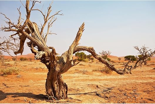 Reptile Habitat Background Orange Desert Terrarium Background Aquarium Background Dead Tree Backdrop Durable Polyester Background Decor Vinyl 30x18in