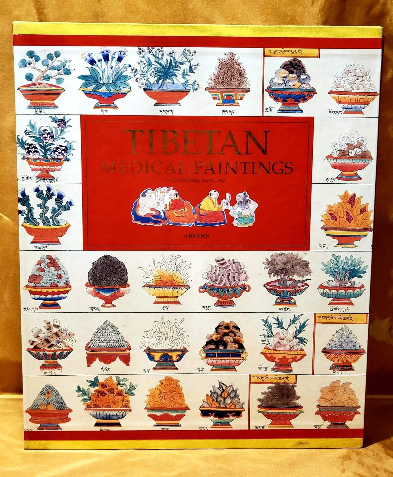 Tibetan Medical Paintings: Illustrations to the Blue Beryl Treatise of Sangye Gyamtso (1653-1705 : Plates and Text) Hardcover – January 1, 1992