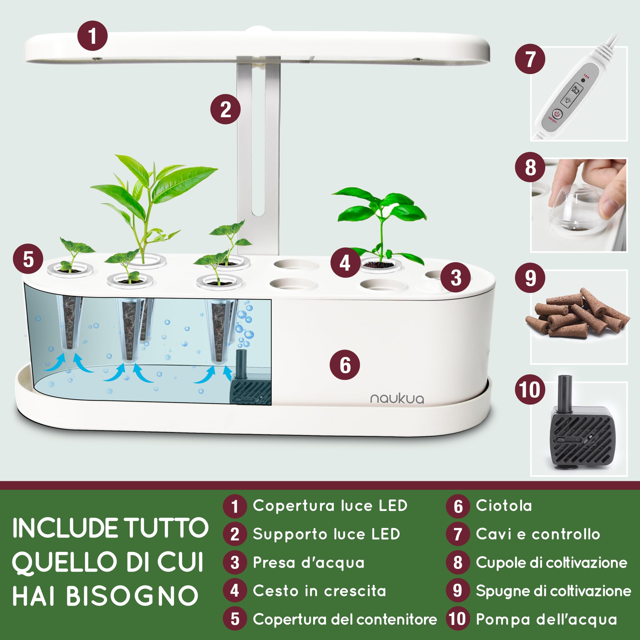 Orto da interno idroponica – Pronto a spingere Smart Garden con luce LED - Kit Serra Idroponica da casa - Timer automatico e pompa dell'acqua: capacità per 10 germogli simultanei - Serra Smart