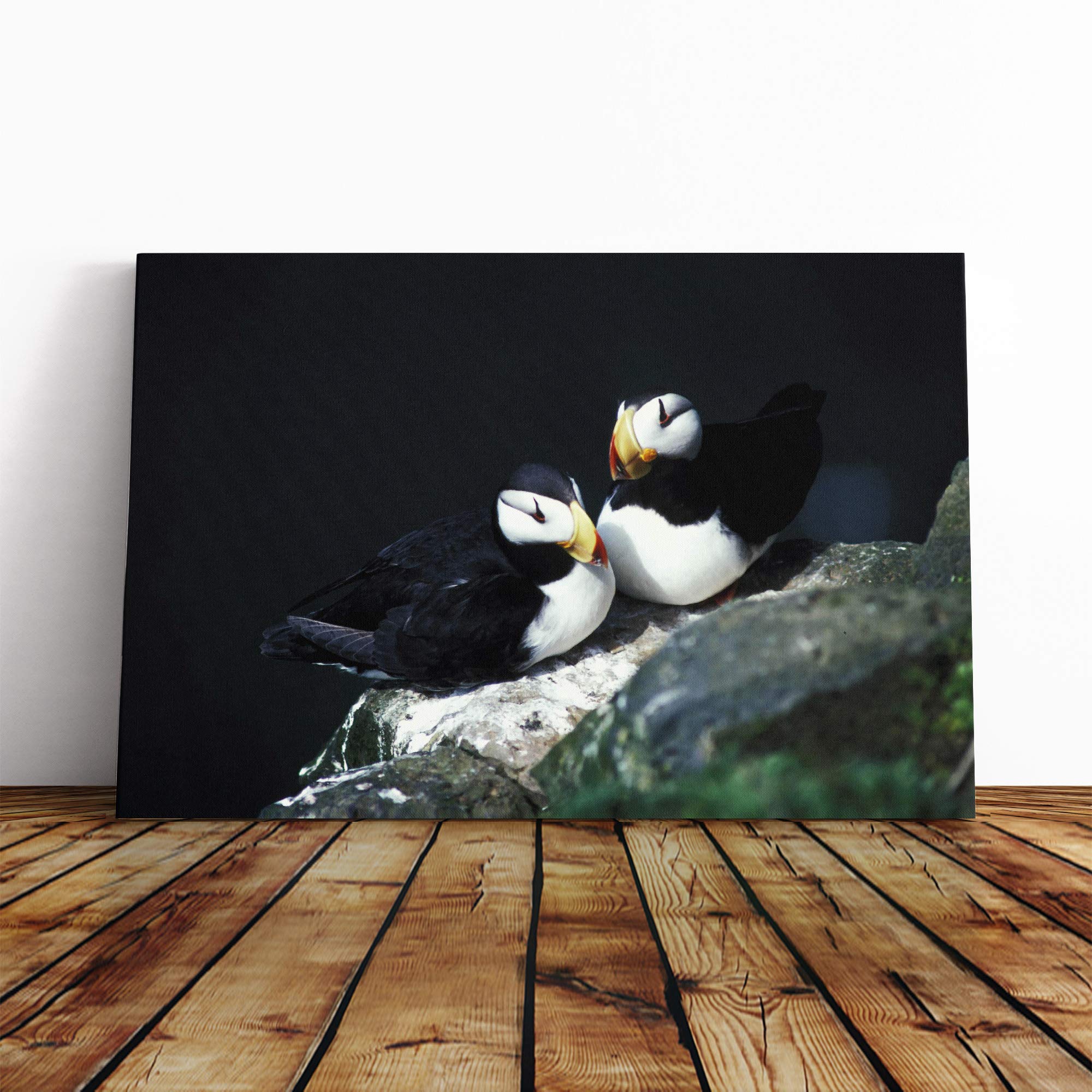 Atlantic Puffins Canvas Print | Gallery Wrapped 30mm Frame Wall Art | 24x16 inches | Ready to Hang | Modern Picture | Living Room Bedroom Lounge Office