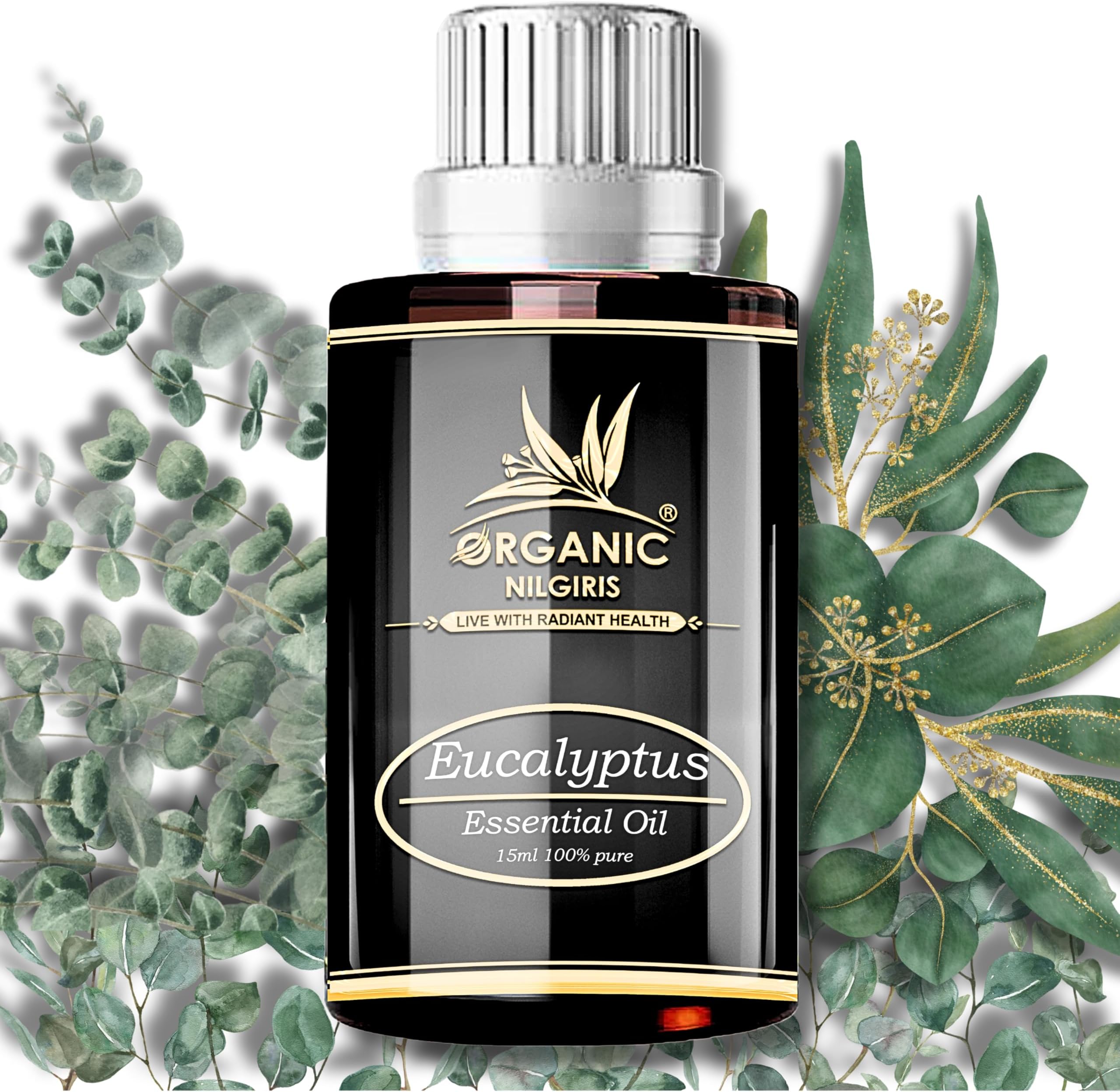 Pure, Cold-Pressed Natural Eucalyptus Oil From The Nilgiri Region: Pure Refreshing Eucalyptus Oil for Comfort and Relaxation Aroma (15Ml-1P)