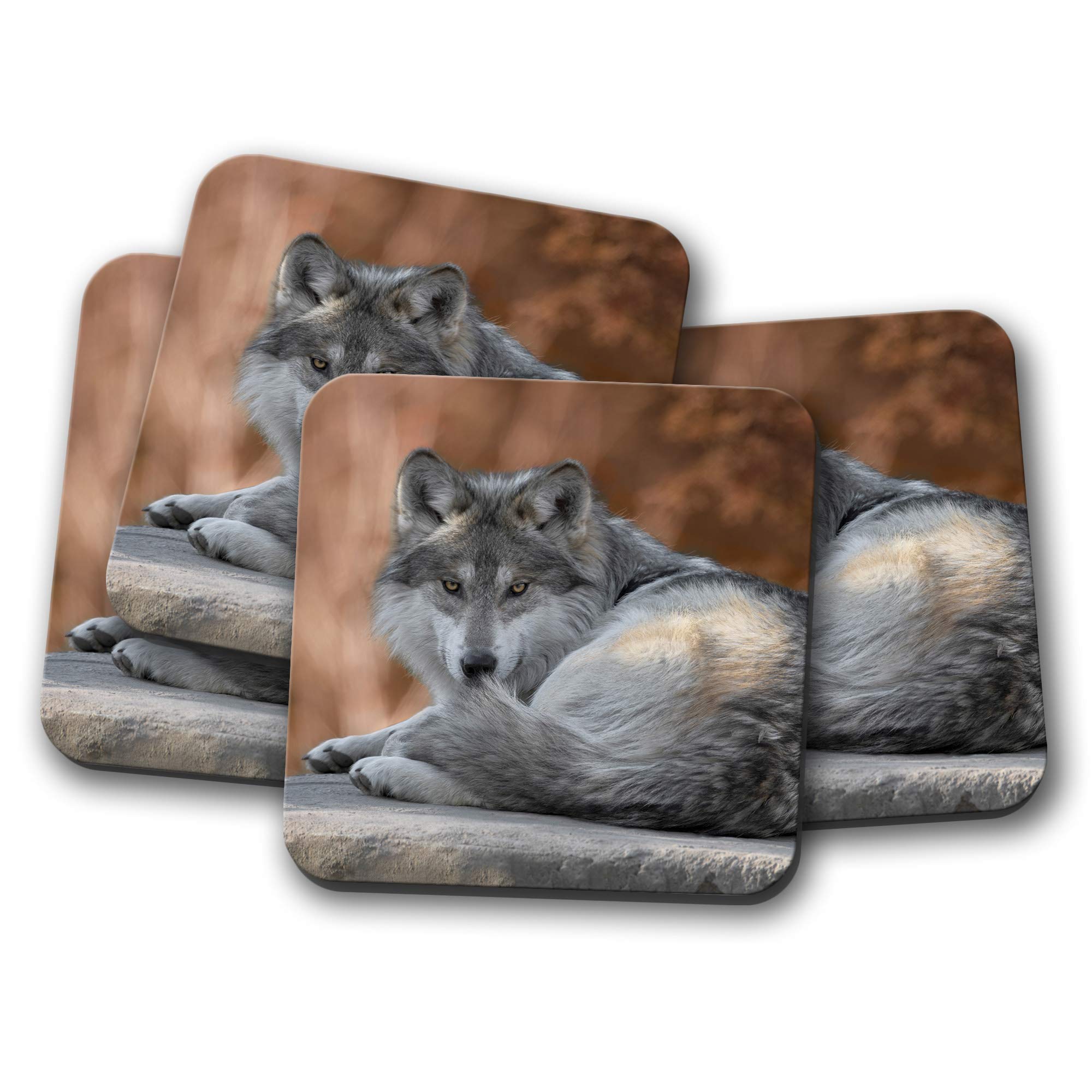 4 Set - Wild Wolf Coaster - Beautiful Autumn Fall Animal Husky #15322