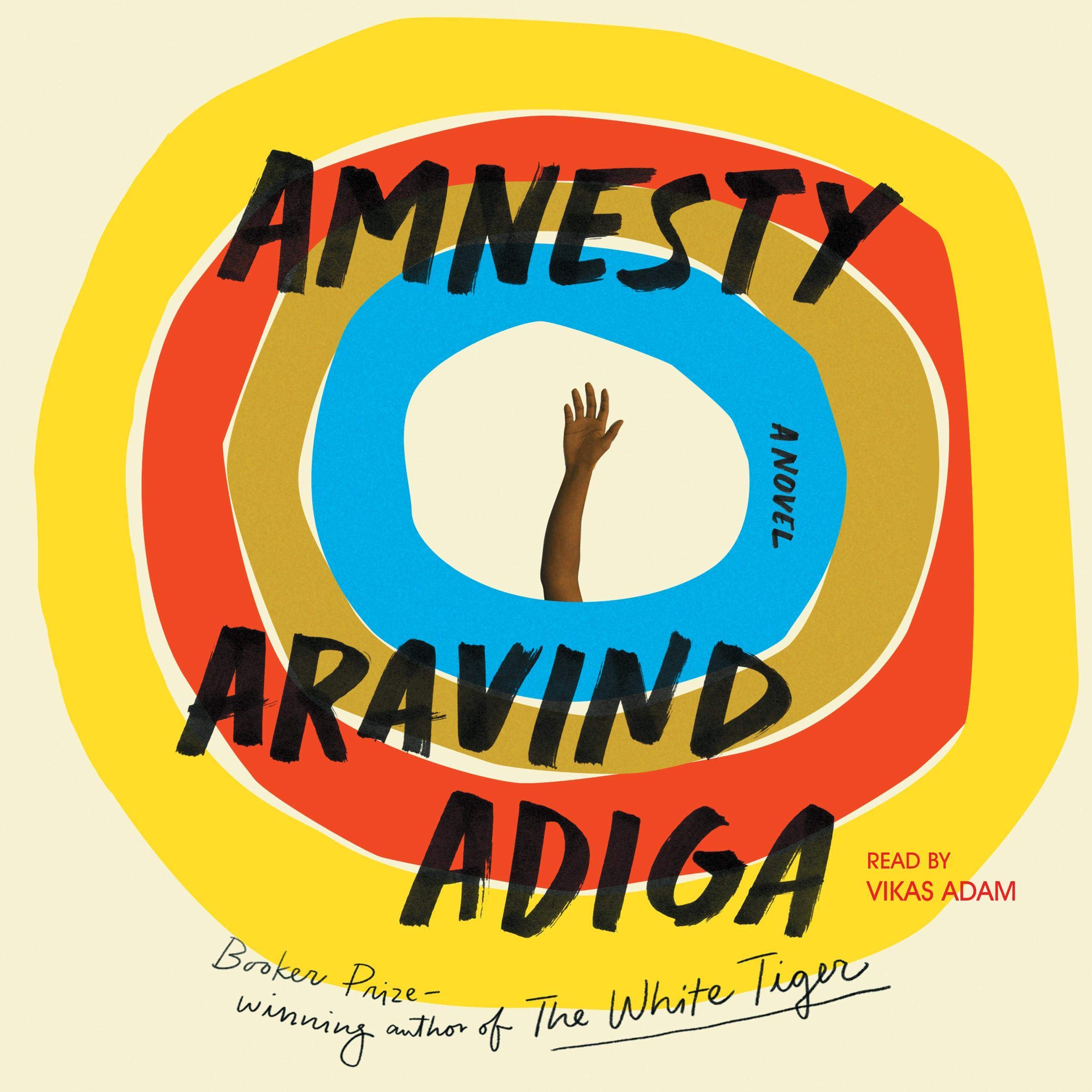 Cover art for Amnesty
