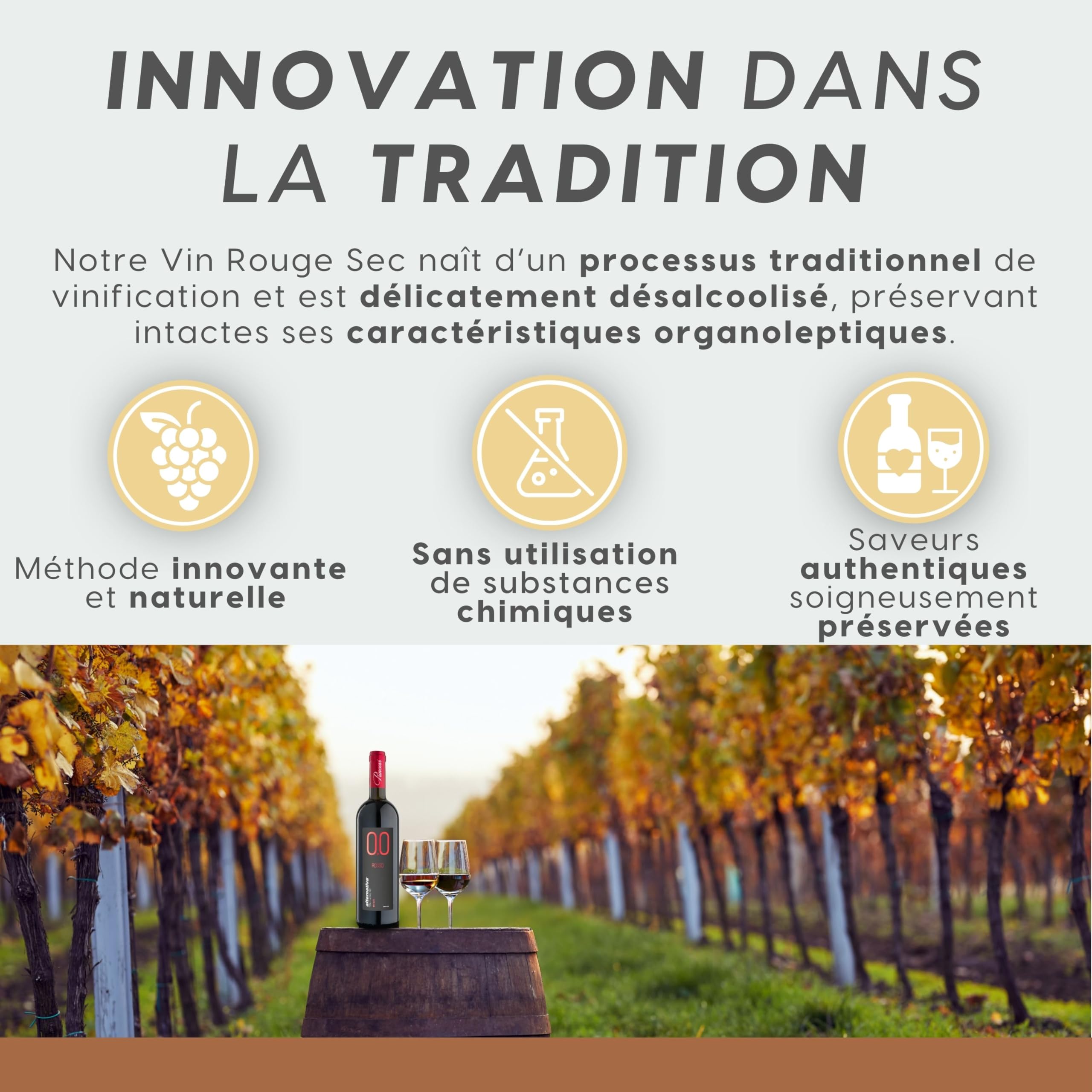 ALTERNATIVA Rouge Sans Alcool 0.0% - Pack de 6 Bouteilles de 750 ml - Vin Sec Italien Premium Désalcoolisé - Parfait pour les Célébrations et Cadeaux