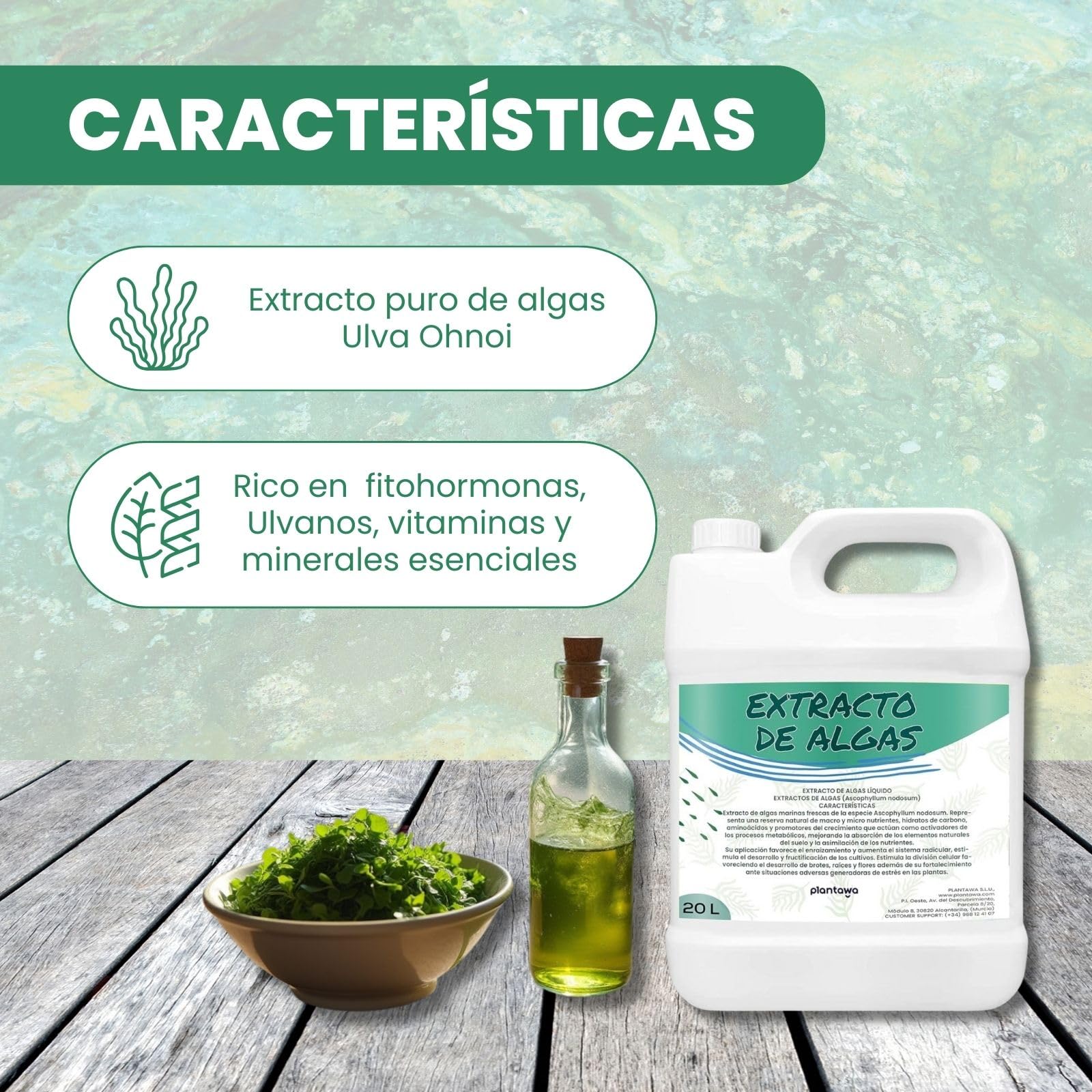PLANTAWA Extracto de Algas Marinas 20L | Refuerzo Natural para el Cuidado y Nutrición de Superficies y Entornos | Acción Eficaz y Seguro | Enraizante y Micorrizas.