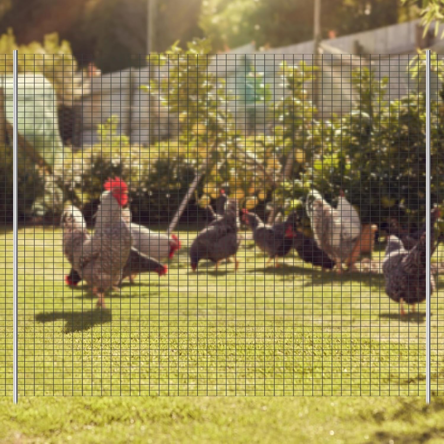Hardware Cloth, 1/2inch 36inx100ft Galvanized After Welding Square Chicken Wire Fence Mesh Roll, Chicken Wire Fencing, Wire Mesh for Rabbit Cages, Garden, Small Rodents, Green
