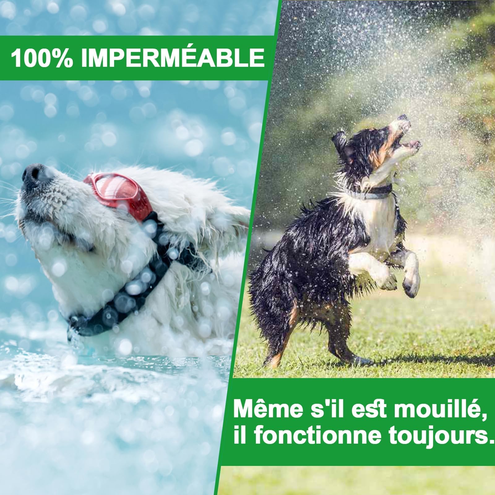Collier Anti Puces pour Chien, 12 Mois De Protection Efficace, Collier Anti Tique Chien 65cm, Réglable Et Étanche, Convient Aux Chiens De Toutes Tailles