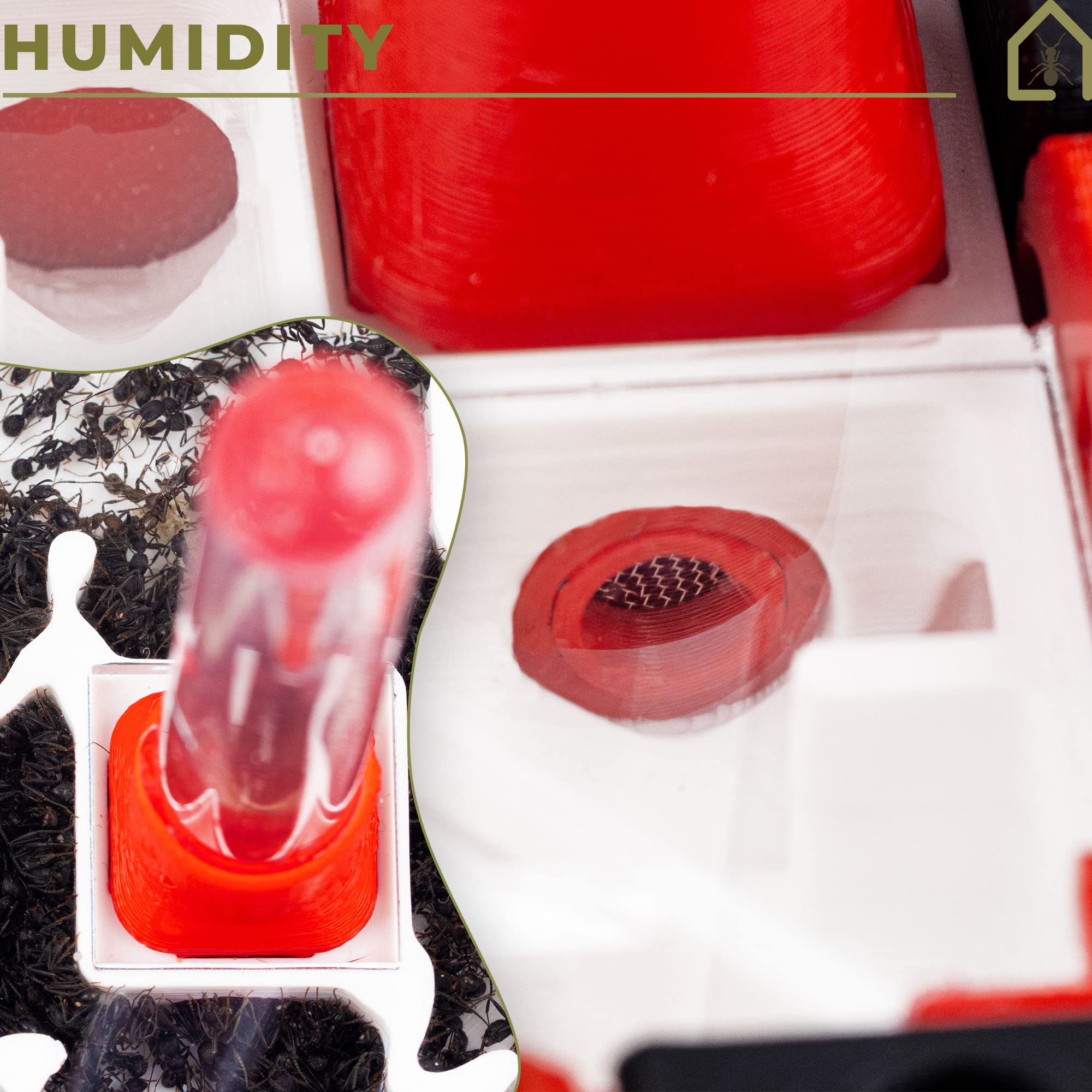 Anthouse.es - Hormigueros Modulares 3D - Modelo QBIK Duo - Terrario Ampliable para Hormigas Medianas - Hormiguero 3D con Sala de Forrajeo - 6,78x12,78x5 cm - 5