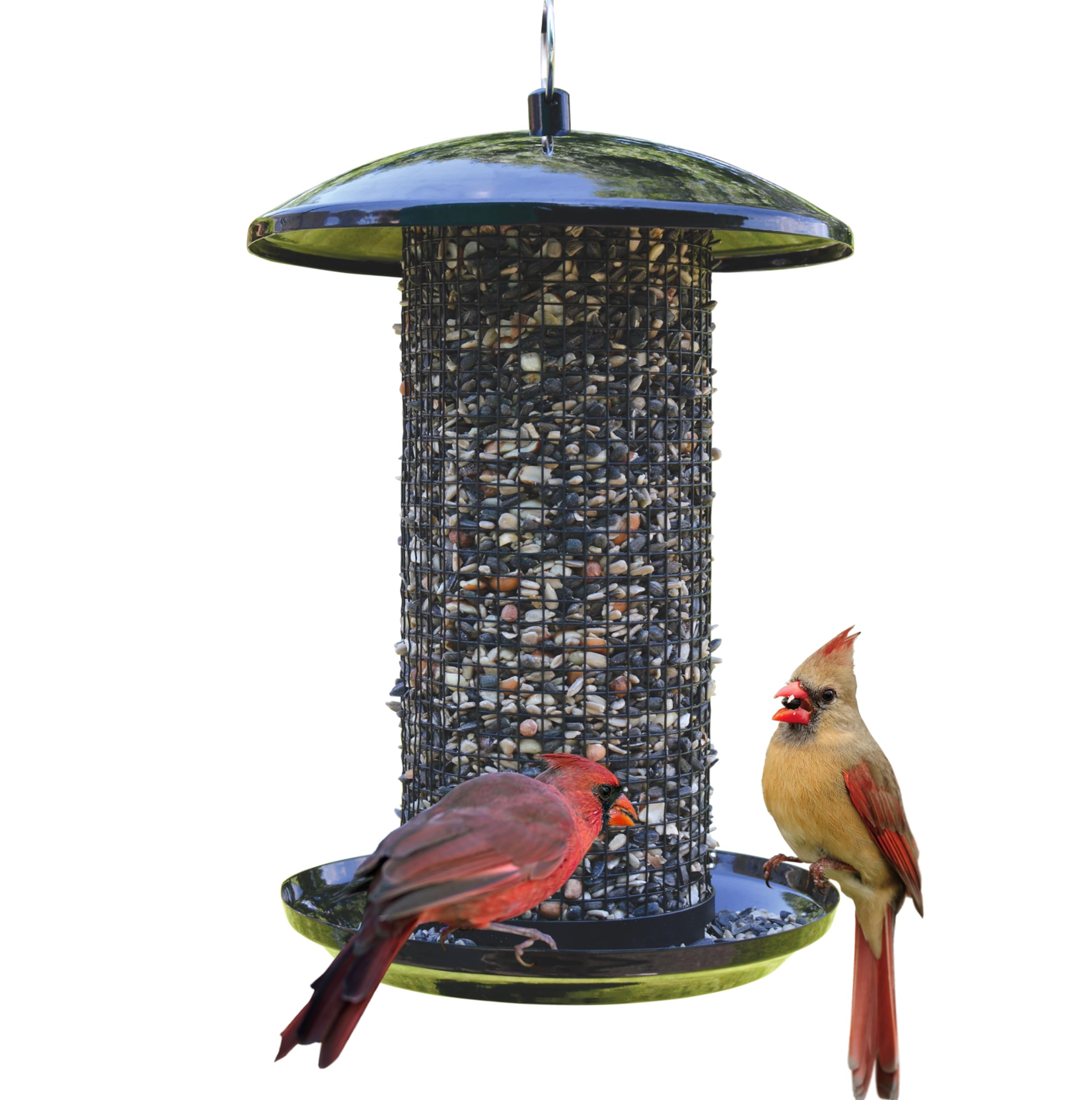 Photo 1 of ***DAMAGED/ PRODUCT BENT*** Nature's Way Midnight Metal Mesh Mixed Seed and Peanut Bird Feeder for Wild Birds and Outdoor Décor, 2.75 Quart Capacity, Easy to Clean and Fill with Easy-Cling Mesh, Black