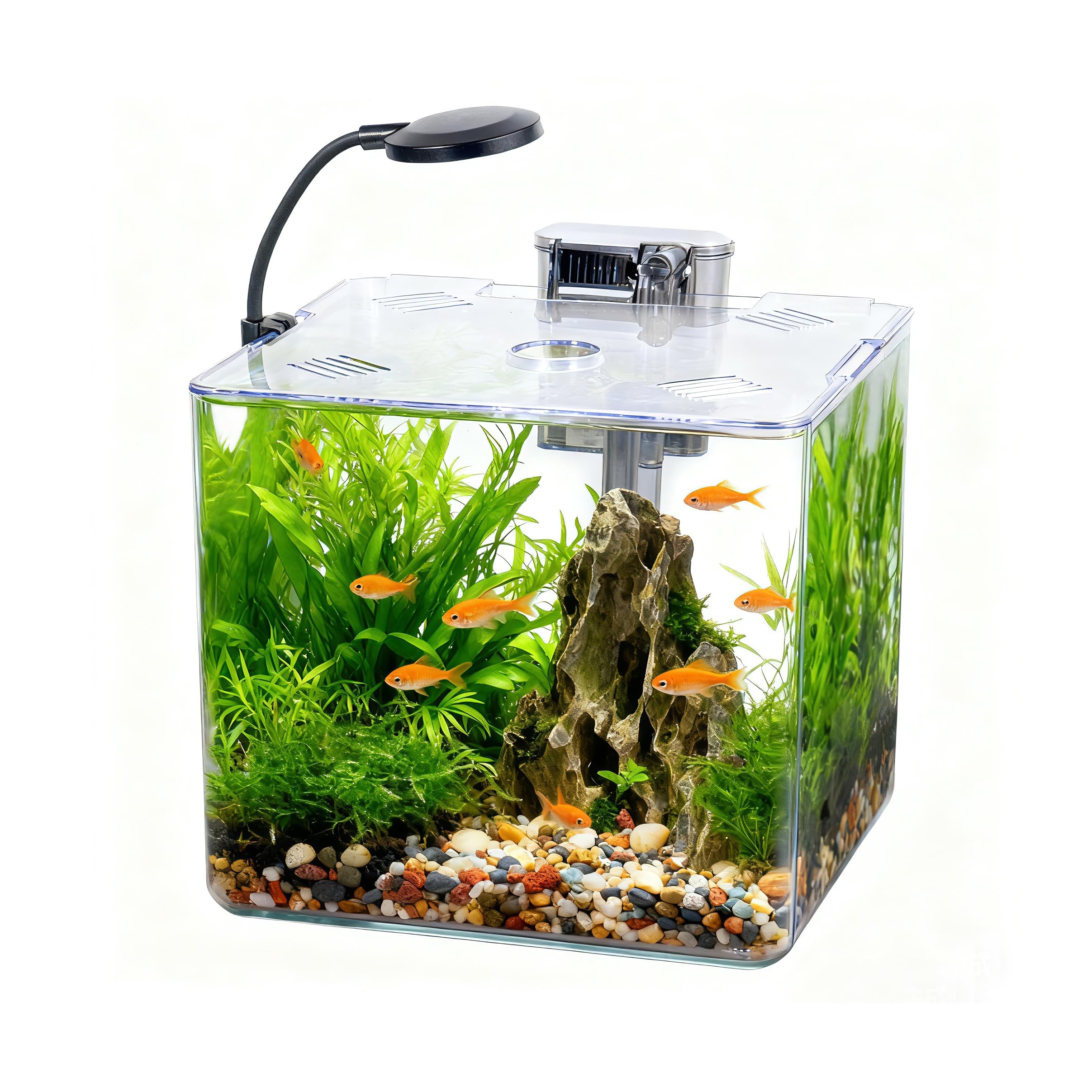 Set de acuario de 5 l para principiantes, 18 x 18 x 18 cm, mini acuario de plástico con lámpara LED y filtro USB, 5 l