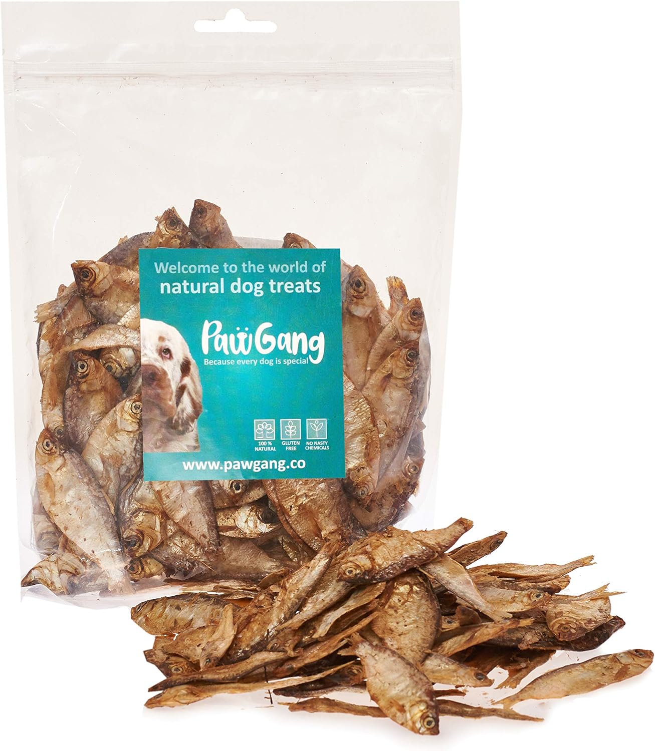 Are Sardines Bad For Dogs