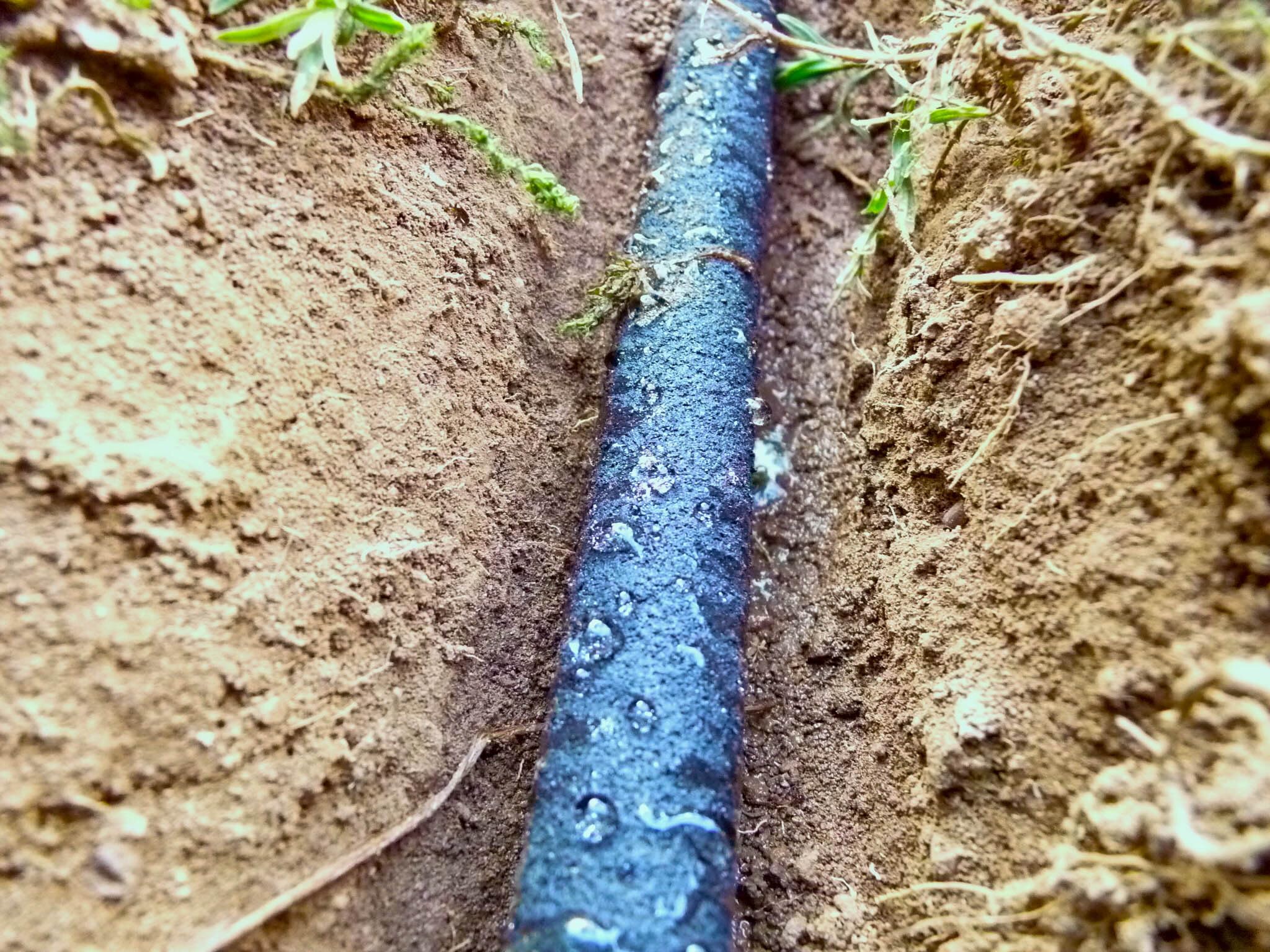 CS Perlschlauch Premium 25m inkl. Starterset – eco Tropfschlauch für Garten, Beet & Hecke – nachhaltiger & wassersparender Bewässerungsschlauch - flexibel verlegbar