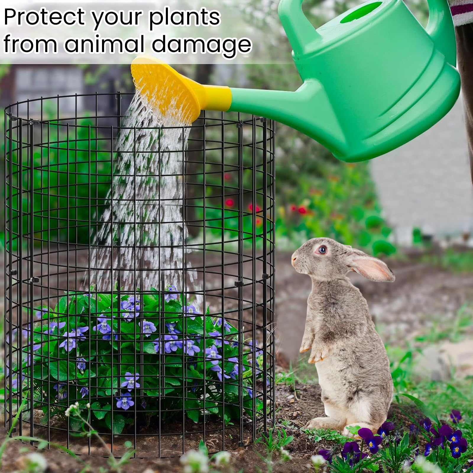 6/12 Pack Metal Plant Protector Cage, Reusable Rustproof Garden Plant Cover with Ground Stakes & Zip Ties, Animal Barrier for Vegetables Seedlings Strawberry Rose Shrubs, Indoor Outdoor (6pack) — view 2