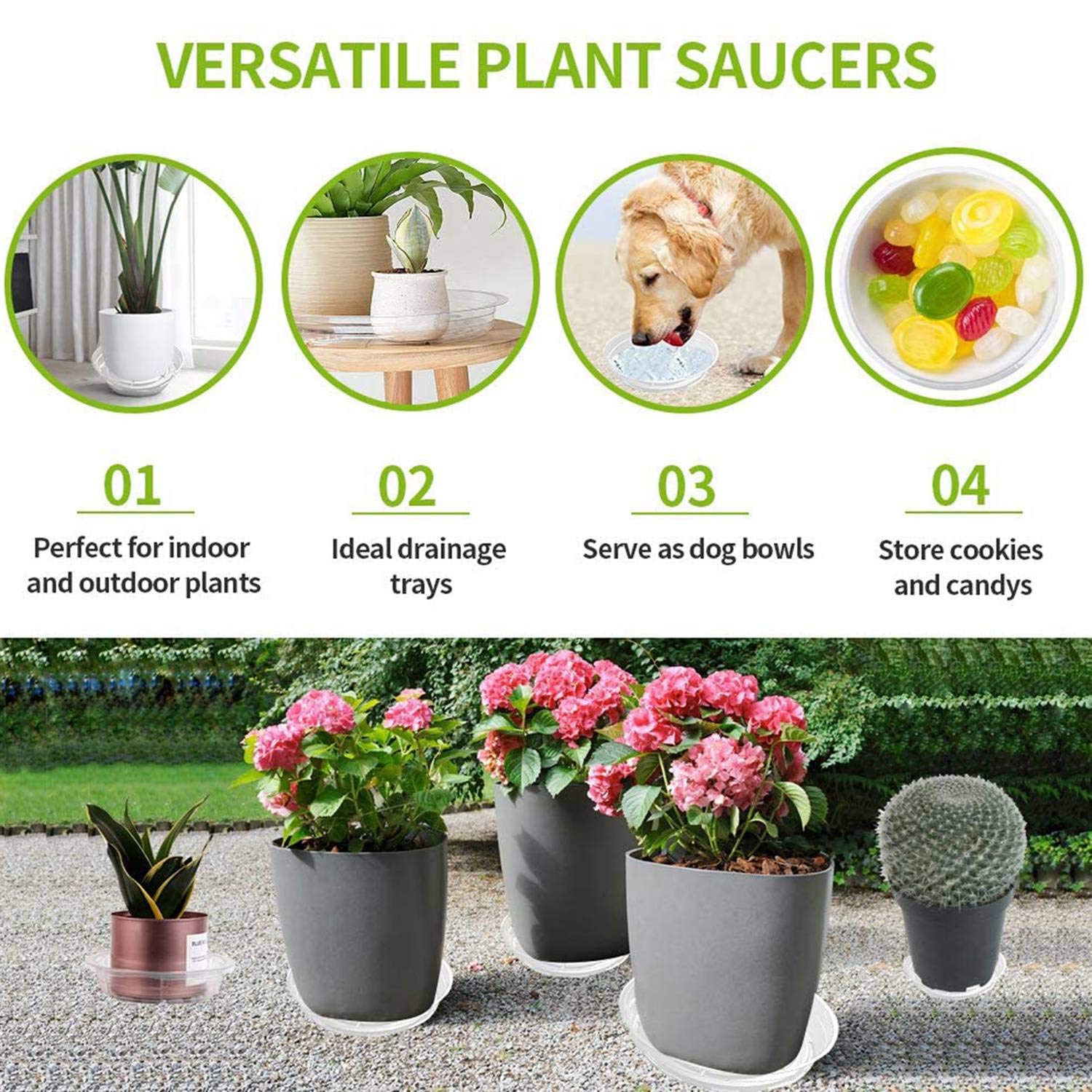 Soucoupes à Plantes Transparent Soucoupes pour Pots de Fleurs Soucoupe Plante Soucoupe Plastique de Fleurs pour Plante Intérieur et - Jardin Soucoupes à Plantes Transparent Soucoupes pour Pots de Fleurs Soucoupe Plante Soucoupe Plastique de Fleurs pour Plante Intérieur et - Jardin