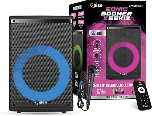 Altavoz portátil Bluetooth Boombox y máquina de karaoke Sonido HD Bluetooth inalámbrico, altavoz de karaoke para fiesta Sistema de altavoces PA