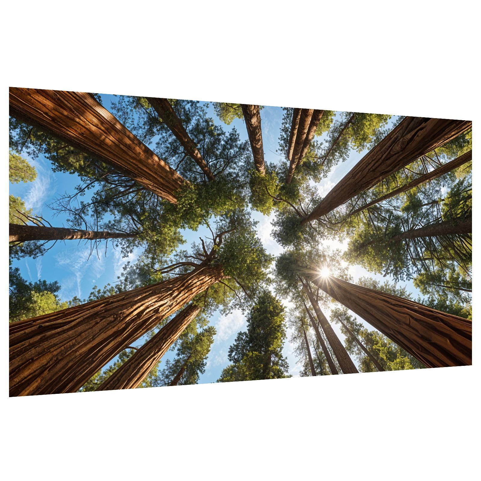 ATDMS Large Landscape Diamond Painting Kits DIY 5D Trees Diamond Painting Kits for Adults Full Drill Forest Diamond Art Kits for Adults Gem Painting