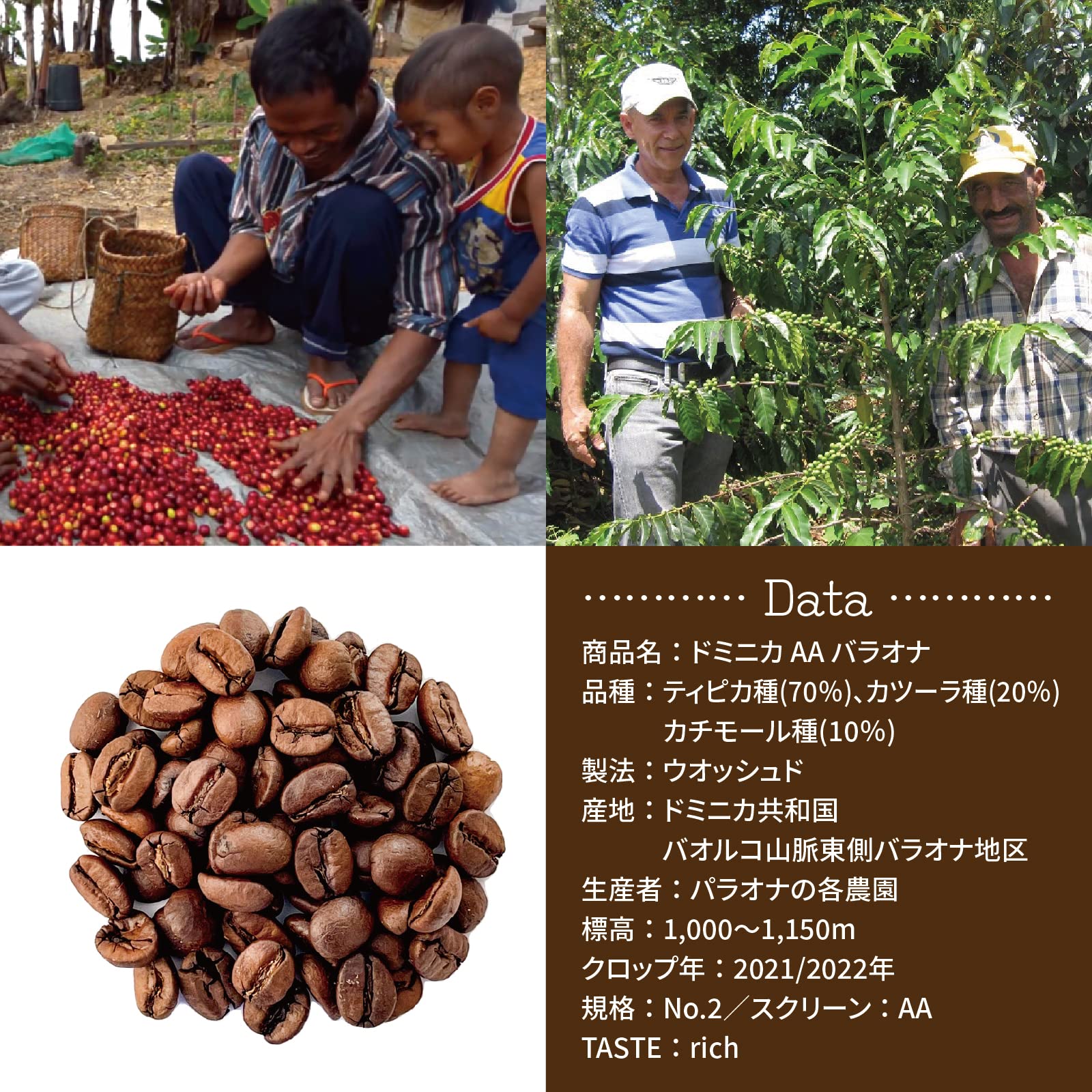 Amazon.co.jp: Dr-i-gama クラッシック珈琲 生豆 ドミニカ AA バラオナ
