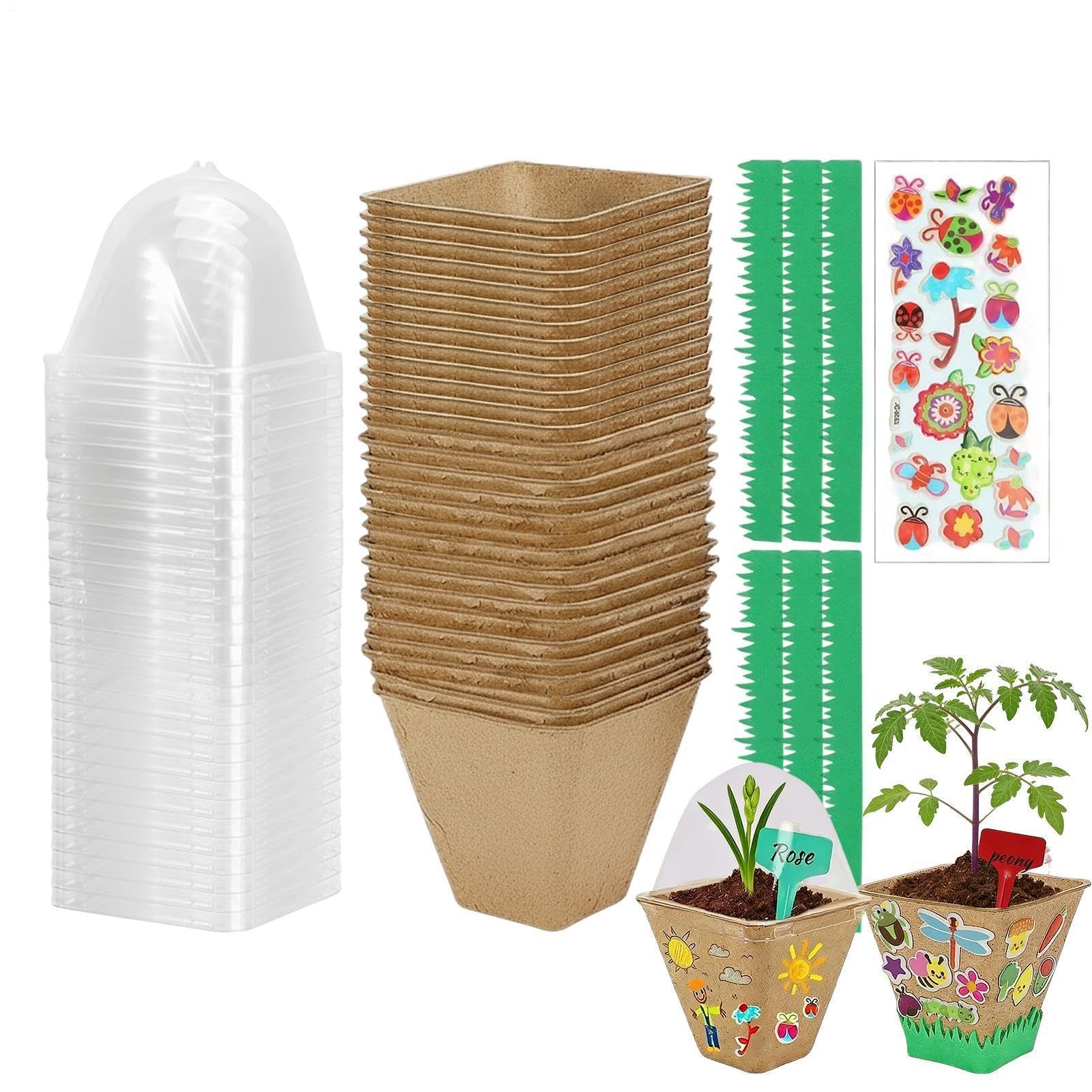 Generisch Plant Kit for Kids Educational STEM Hands-On Garden Creation