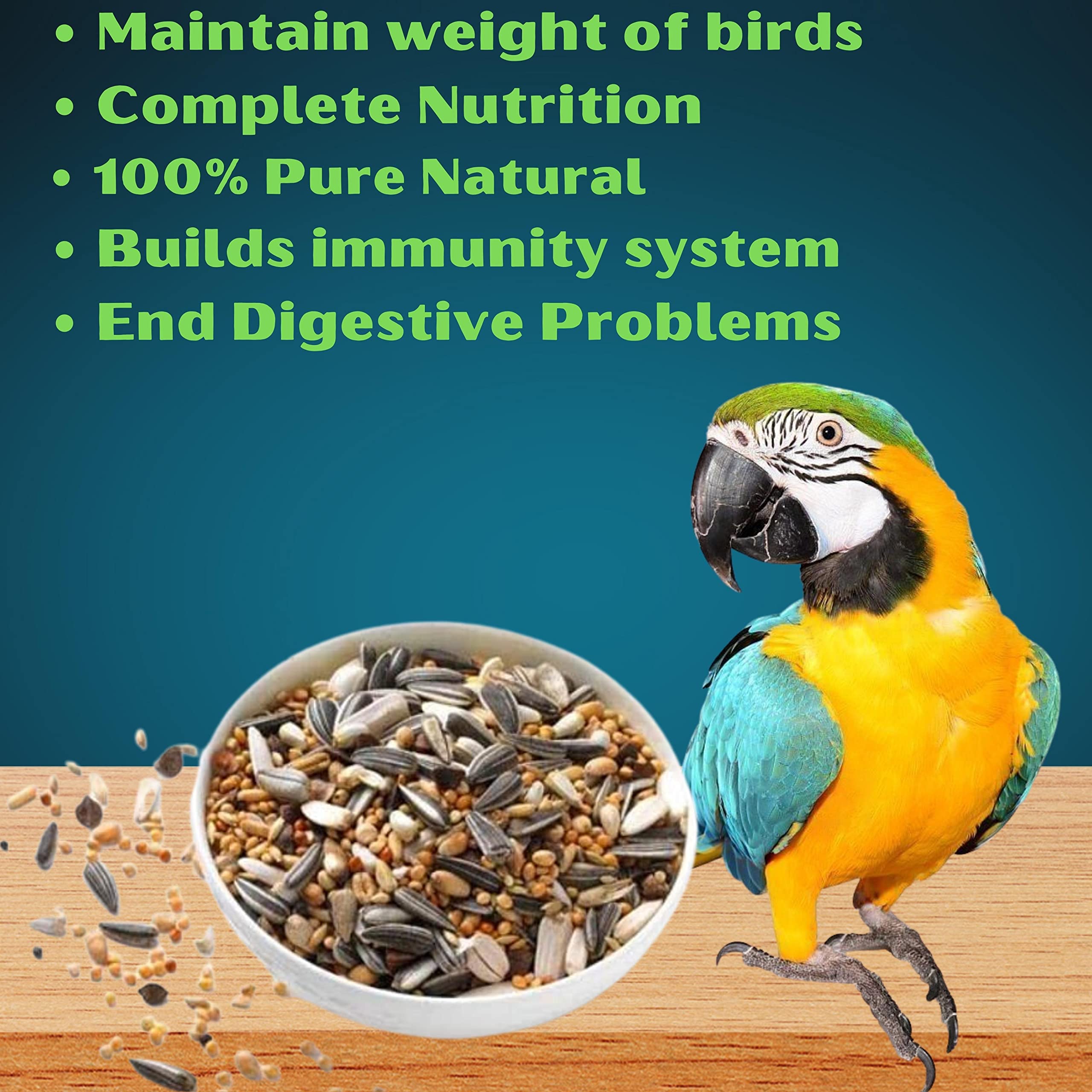 Discover more than 61 large bag of bird seed best xkldase.edu.vn
