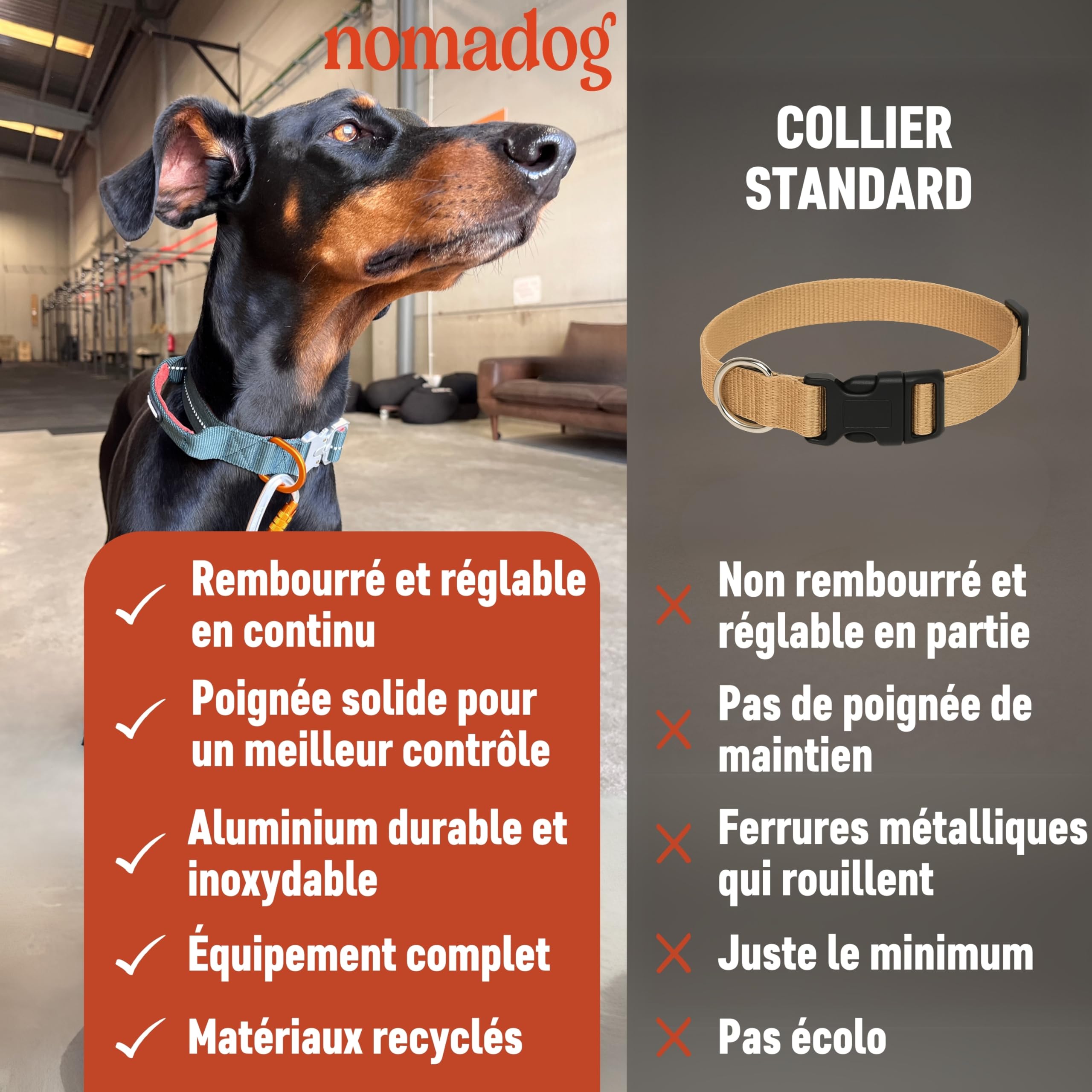 Nomadog Trailblazer Collier Chien avec Poignée pour Gros Chien - Durable, Réglable, Rembourré, Boucle en Aluminium Premium - Collier Tactique (XL)